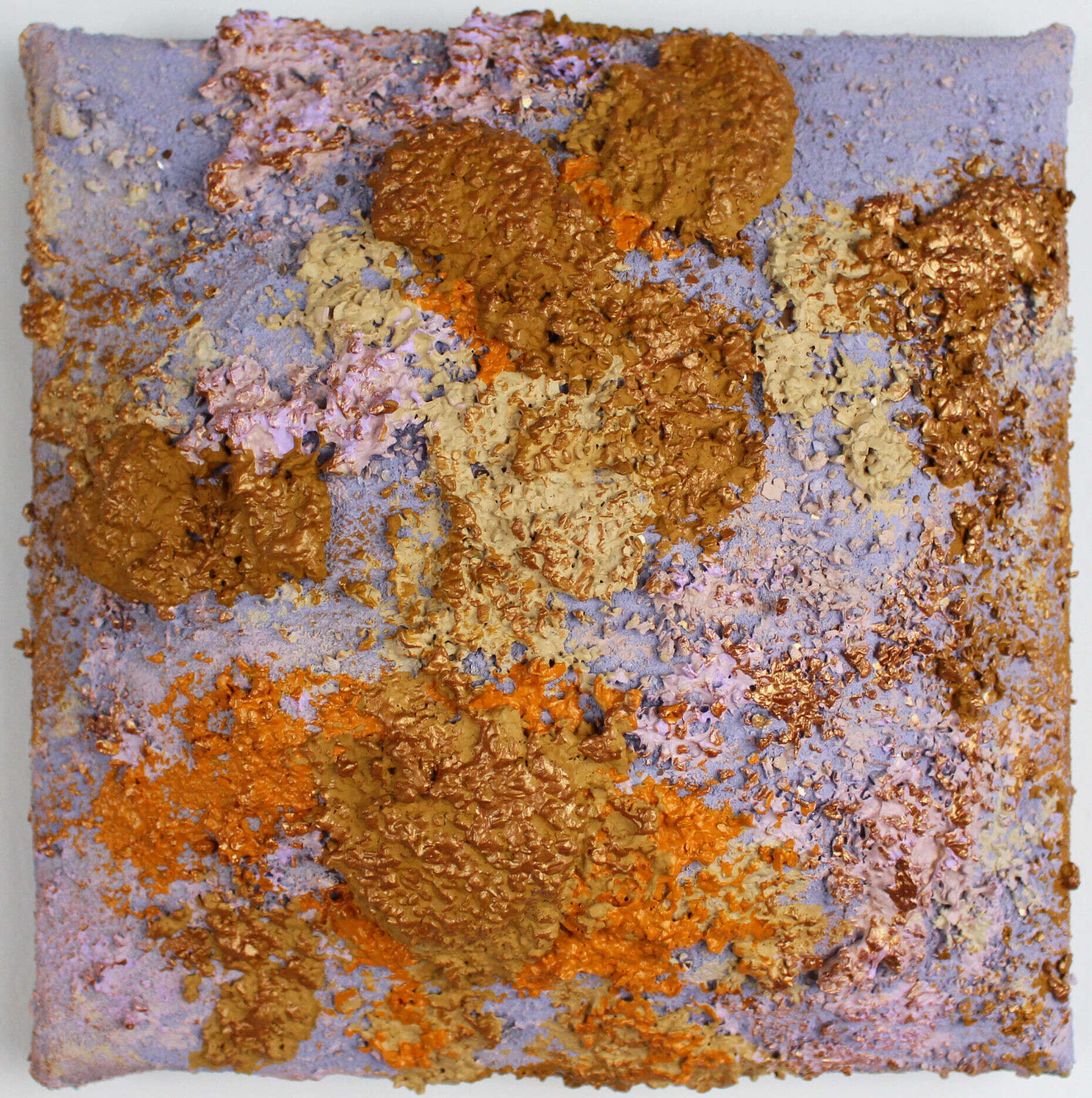 lila Wucherung - Kira Schmitt 1