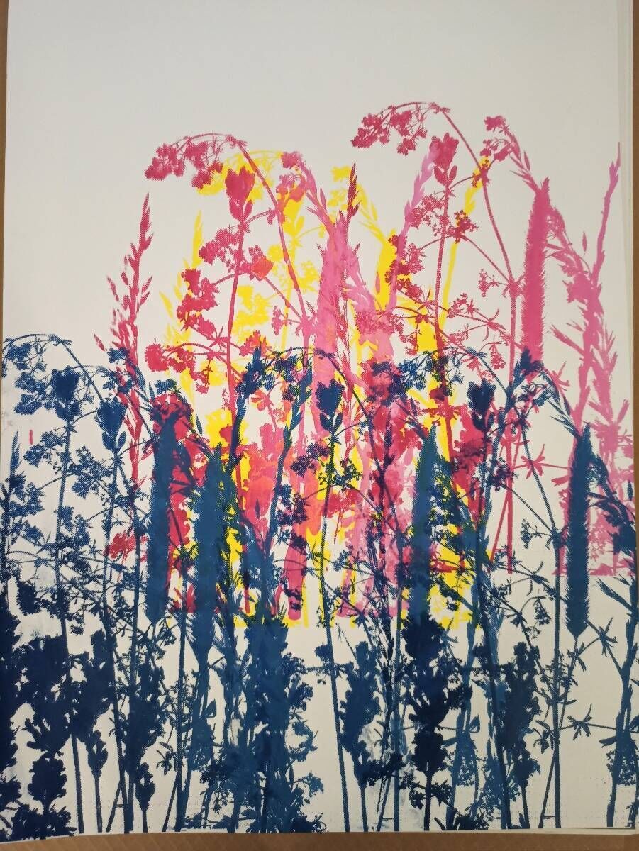 Bunte Wiese