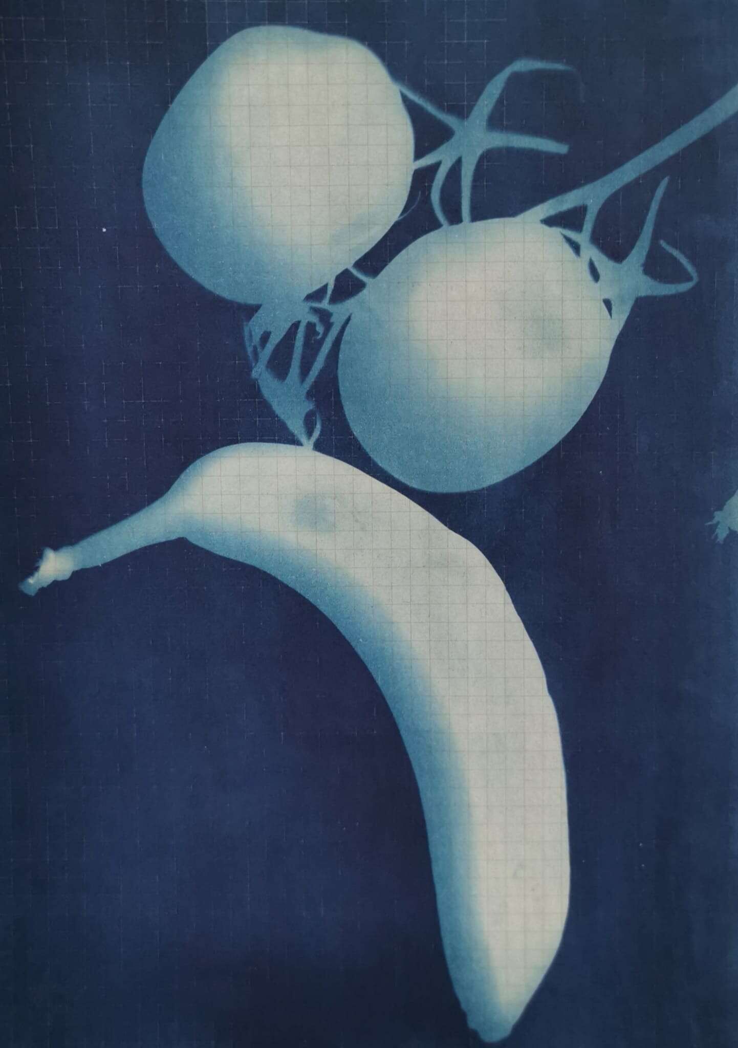 Aufgegessen (2025) - Gina Loges 1