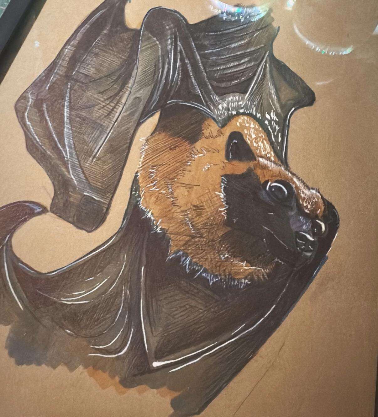 Bats - Laura Küpper 6