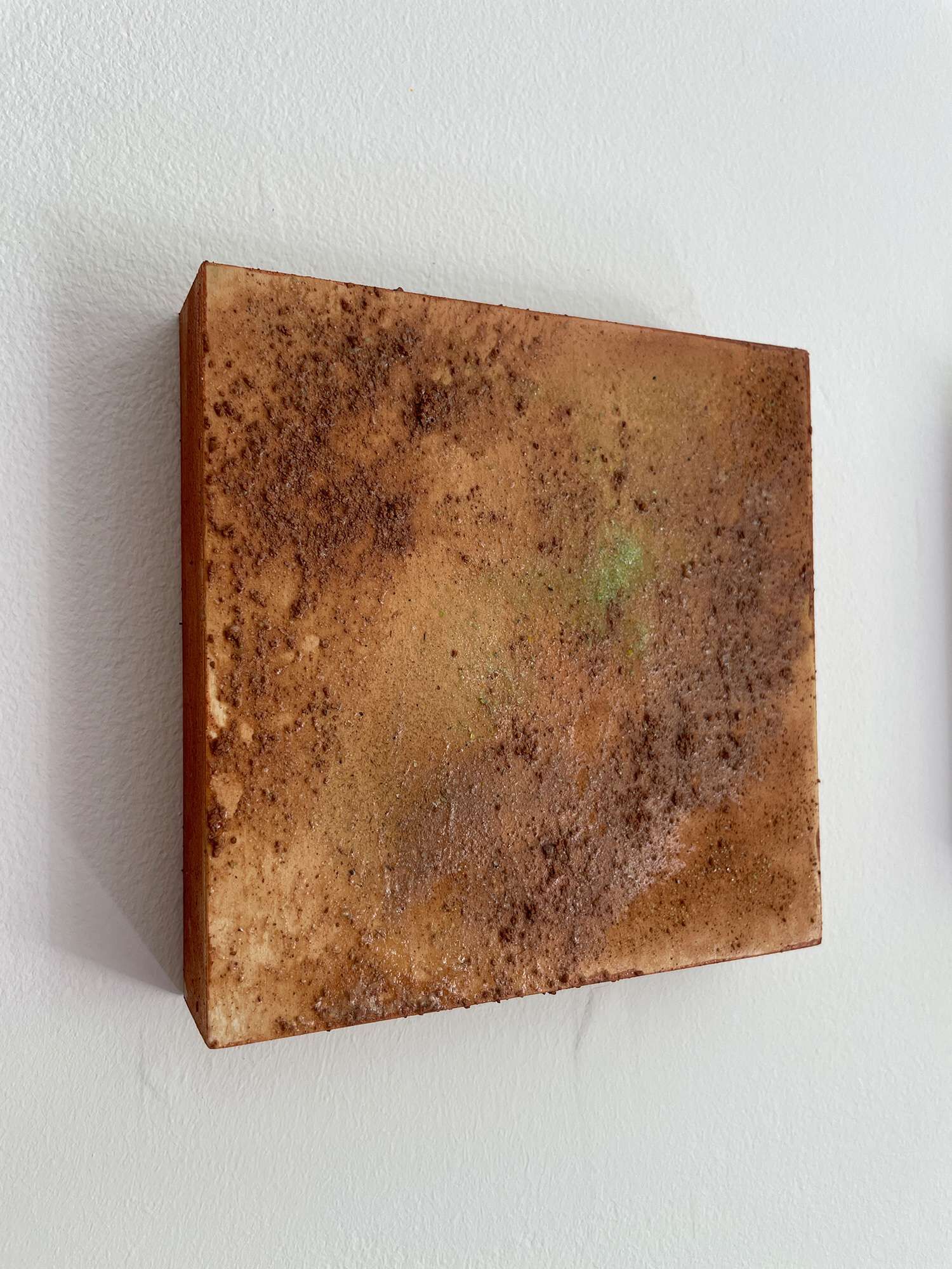 Feldnotizen II - Vicky Anna Lardschneider 3