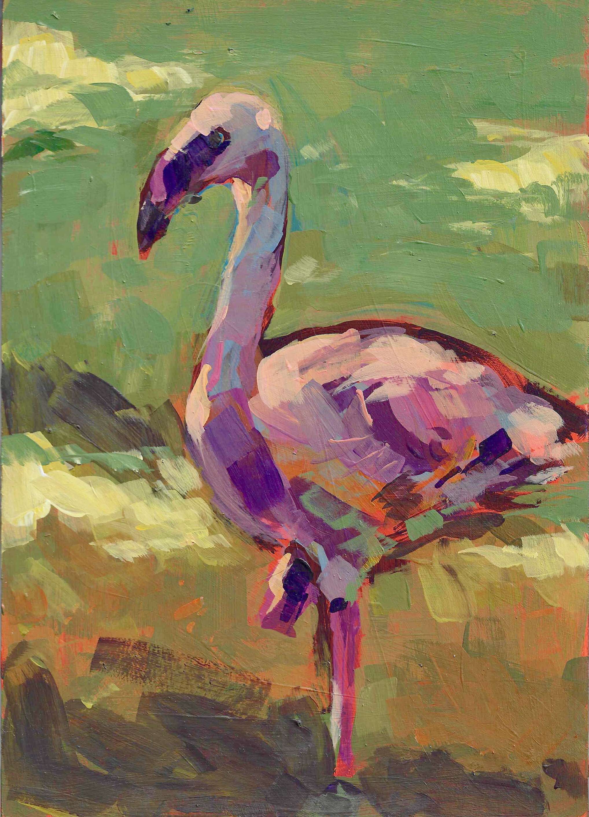 Flamingo - Daniel Heimgärtner 1
