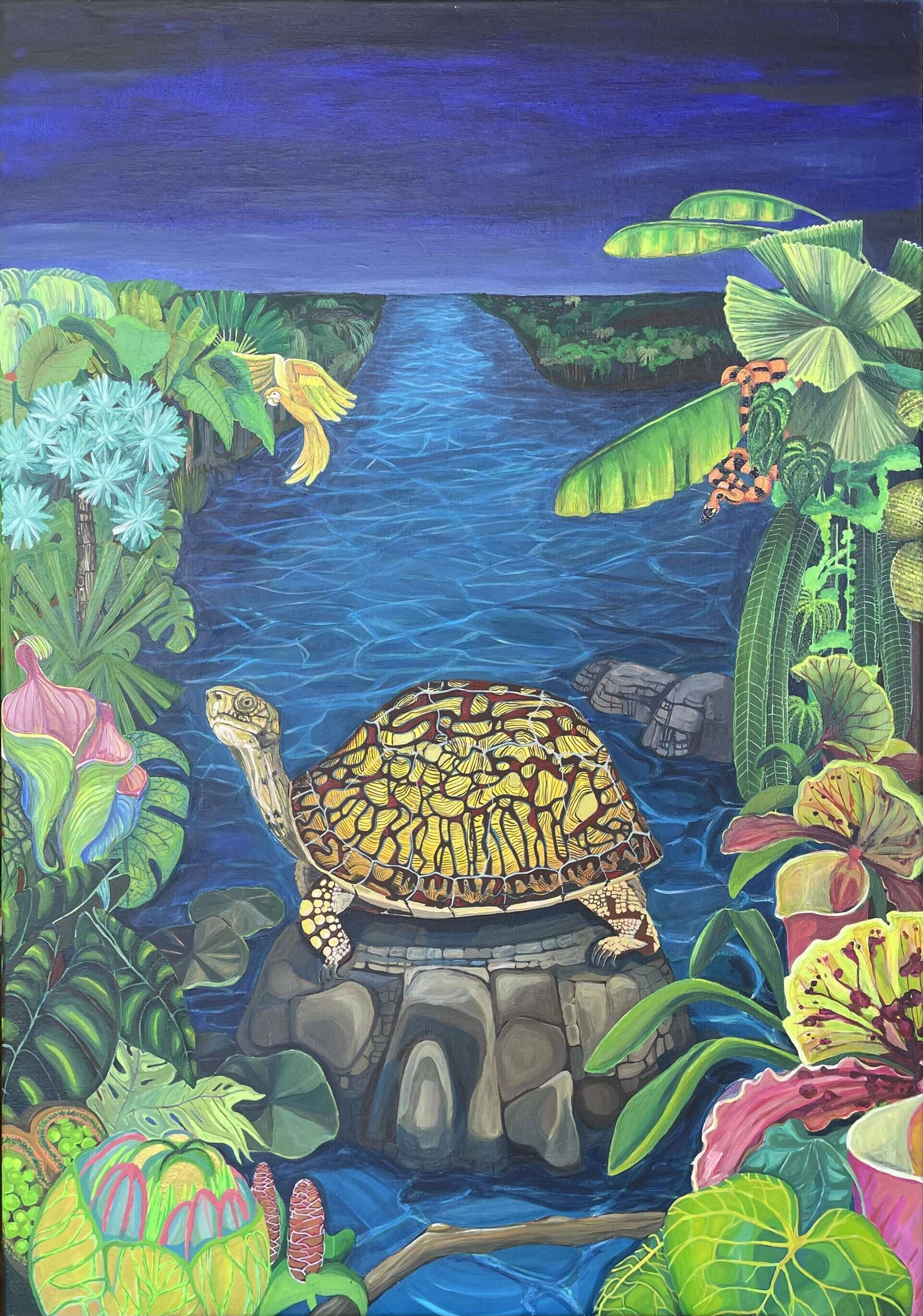 Turtle in the lagoon - Delja Wilfert 1