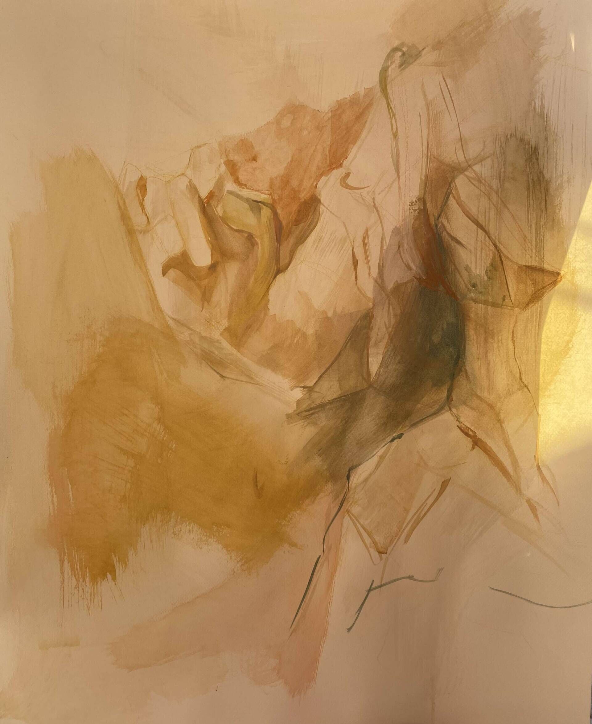 Cogiendo al toro por los cuernos  - Livia Sandino 1