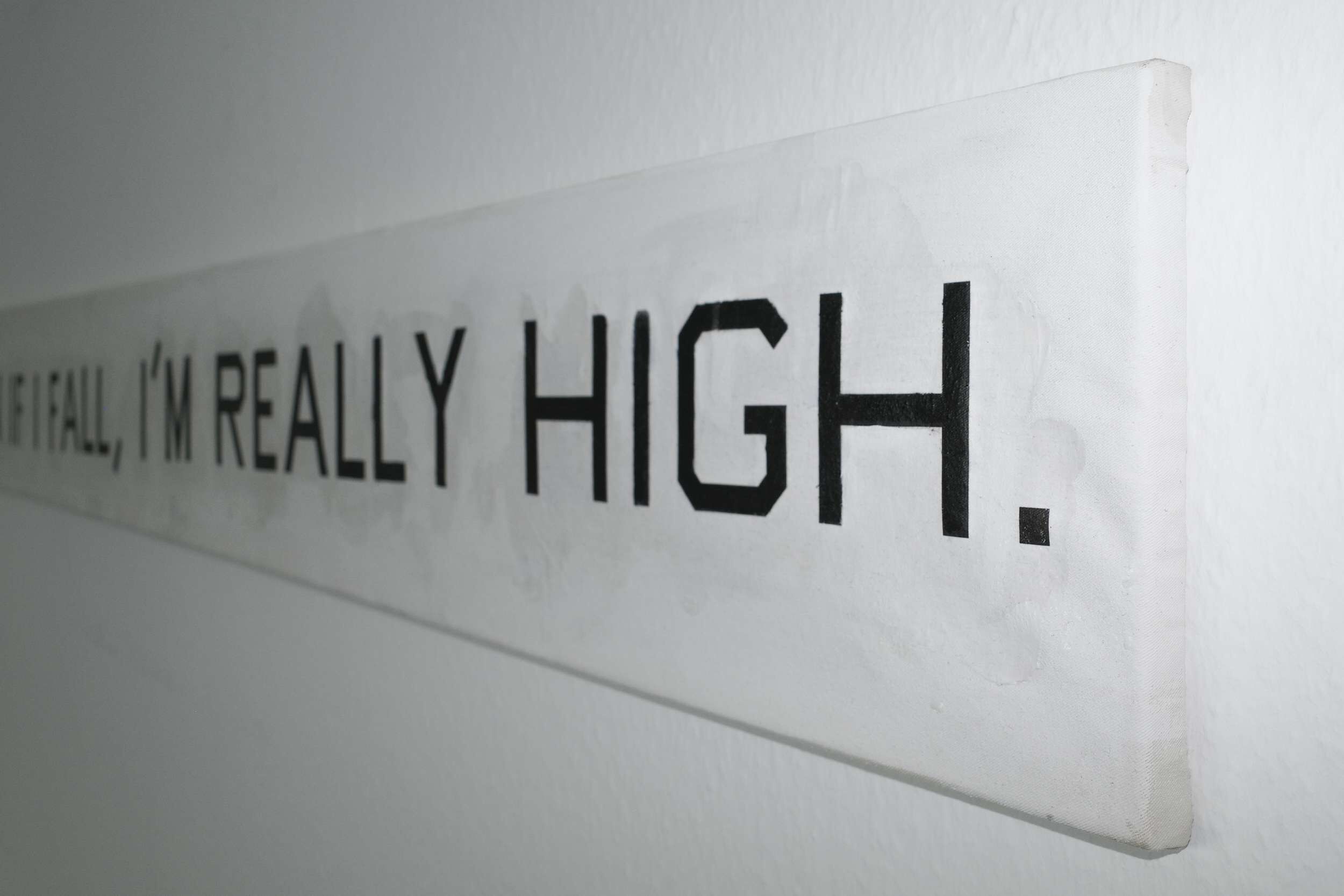 Even if I fall, I'm really high  - Lenny Renz 3
