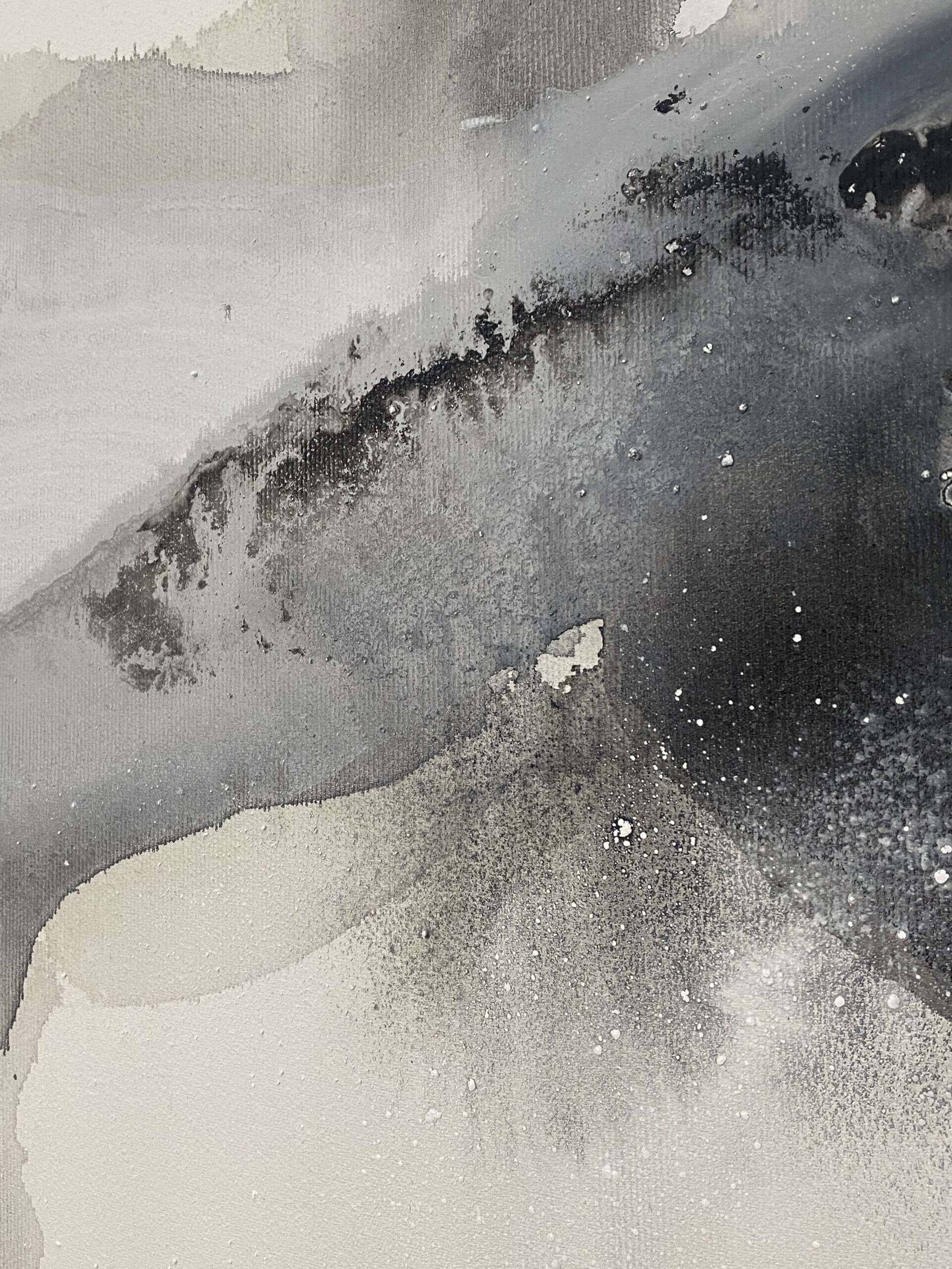 Flora Obscura - Franca Plohr 2