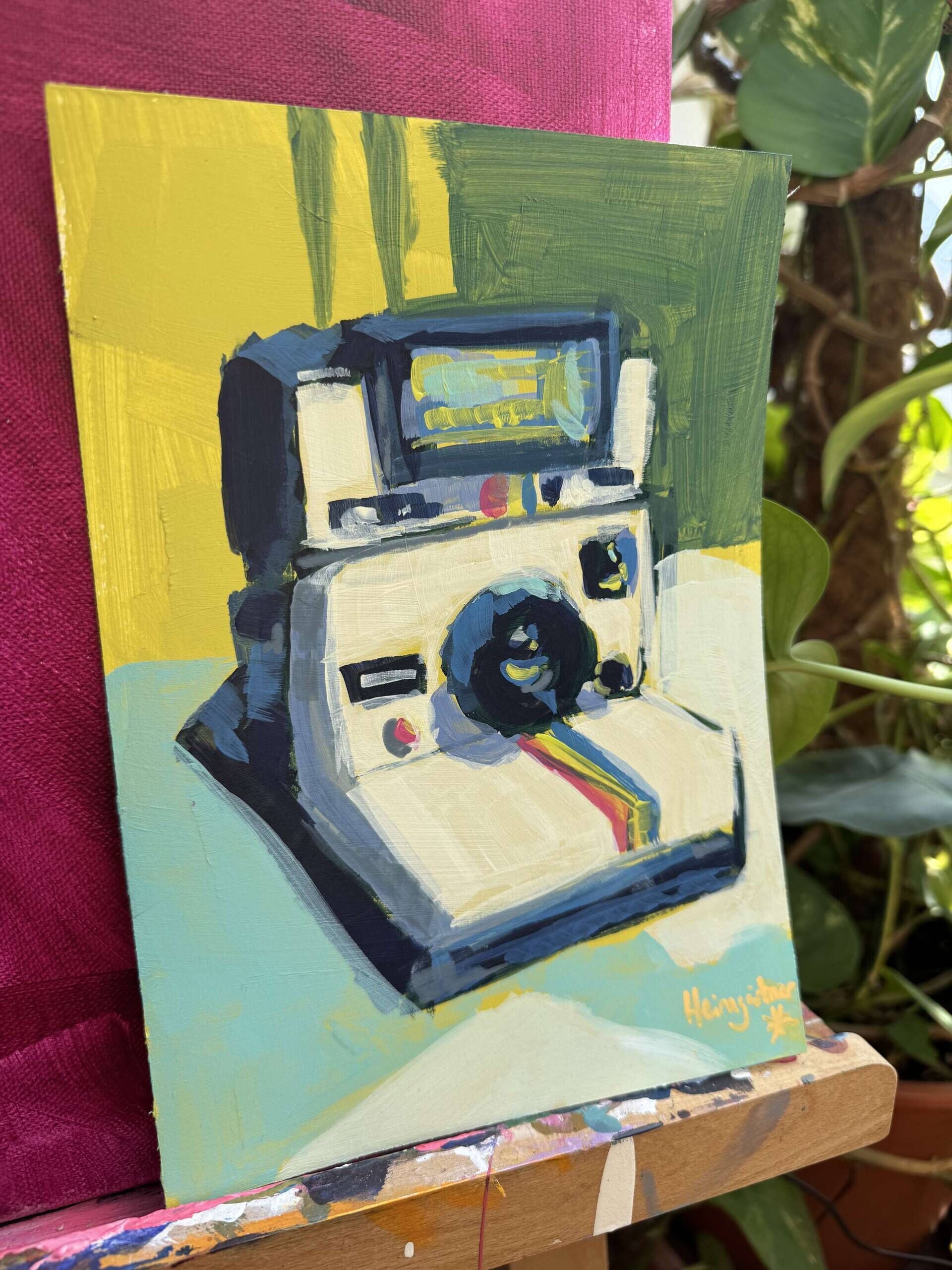 Polaroid - Daniel Heimgärtner 2