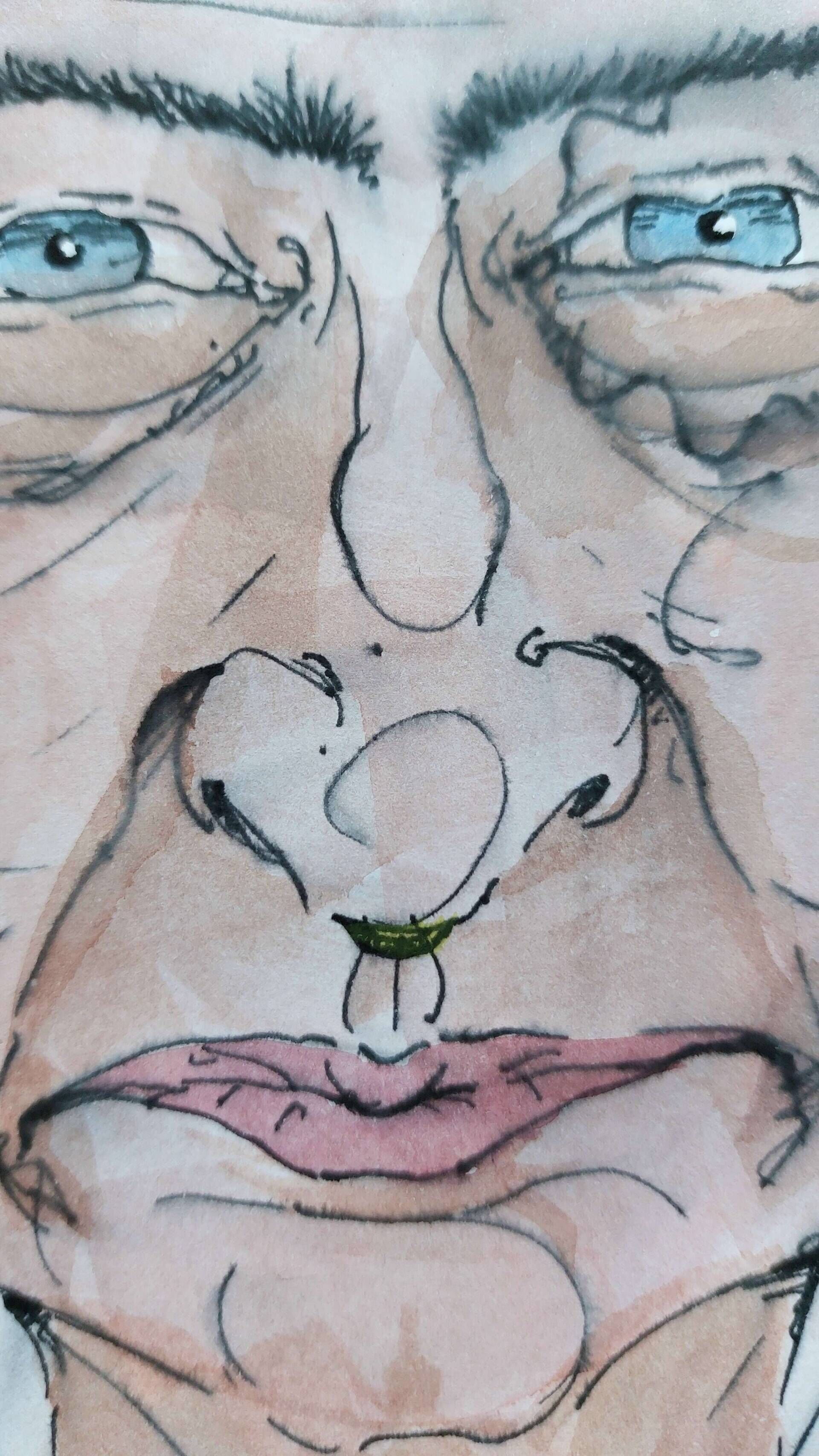 Pilze im Hintergrund  - Alexander Straub 2