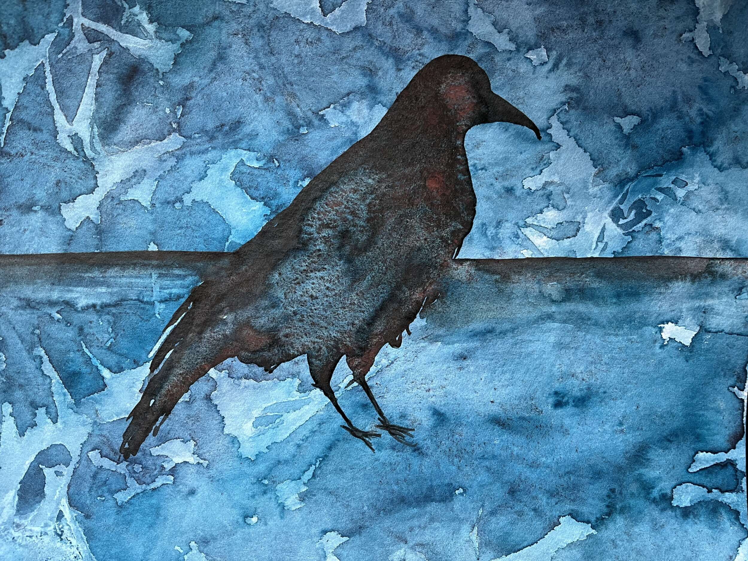 Crow on the tree - I saw 1