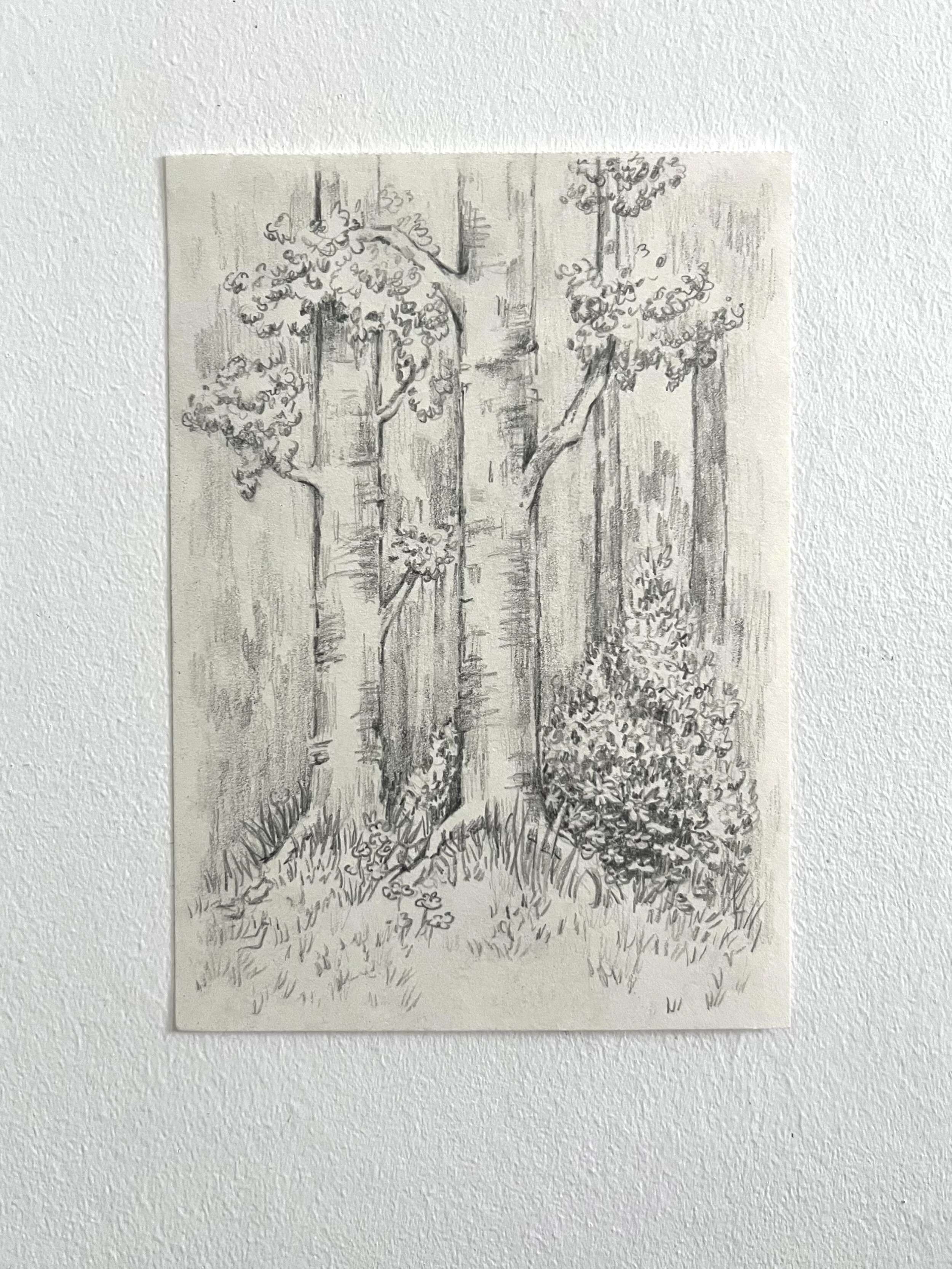 Waldlauf - Paula Victoria Aldea 3