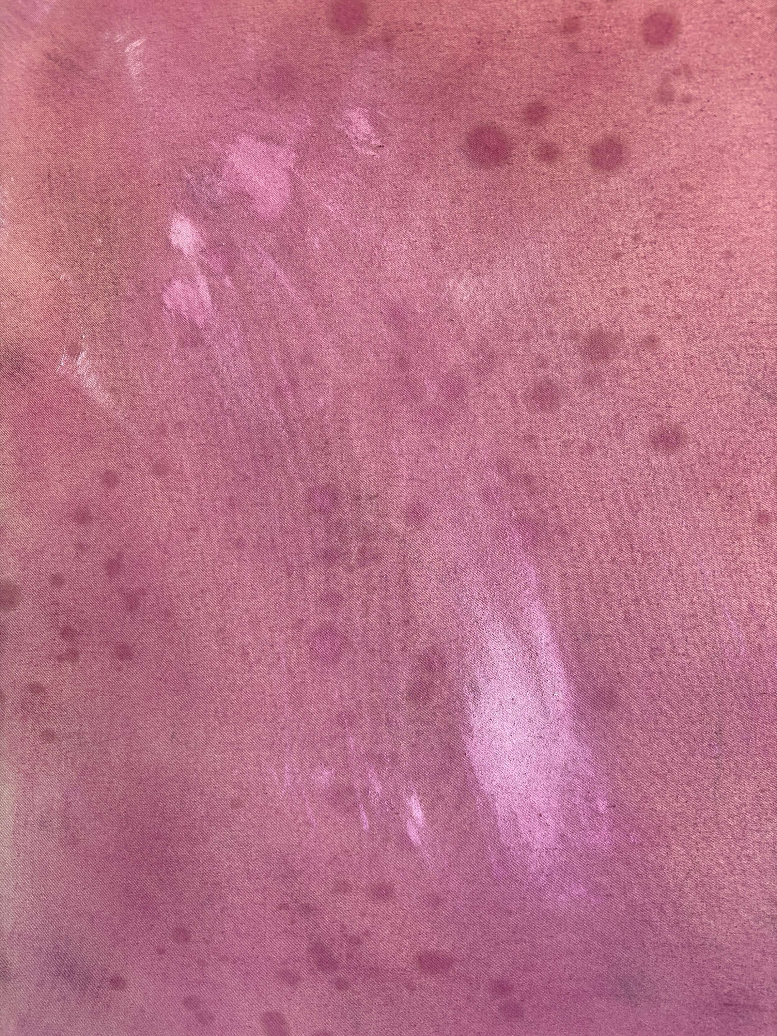 Blush Rosé - Lenny Renz 2