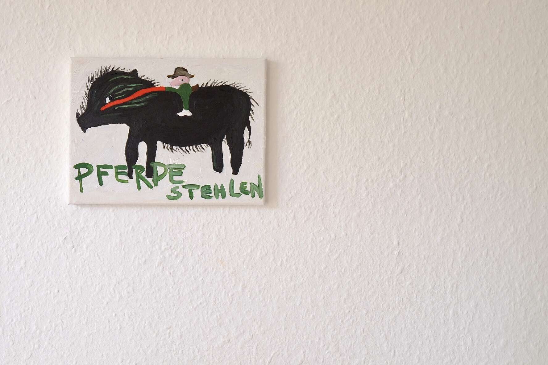 Pferde stehlen - Anna Leisner 2