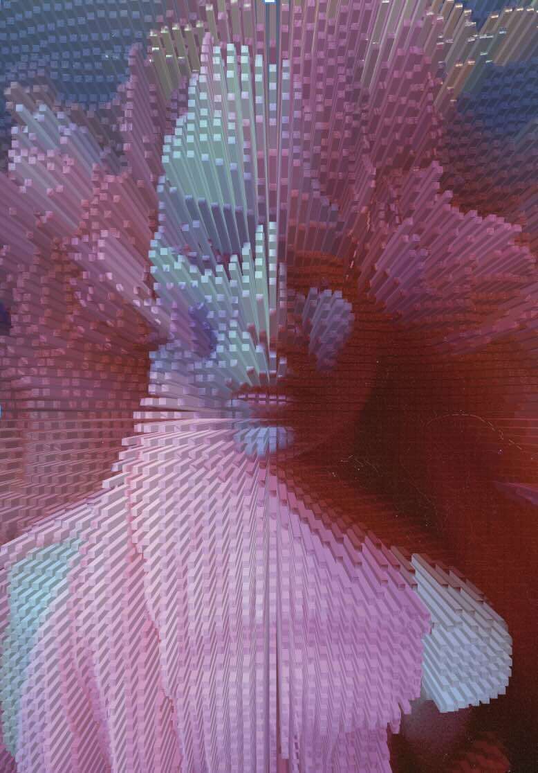 cyra - Nina Louiza 1