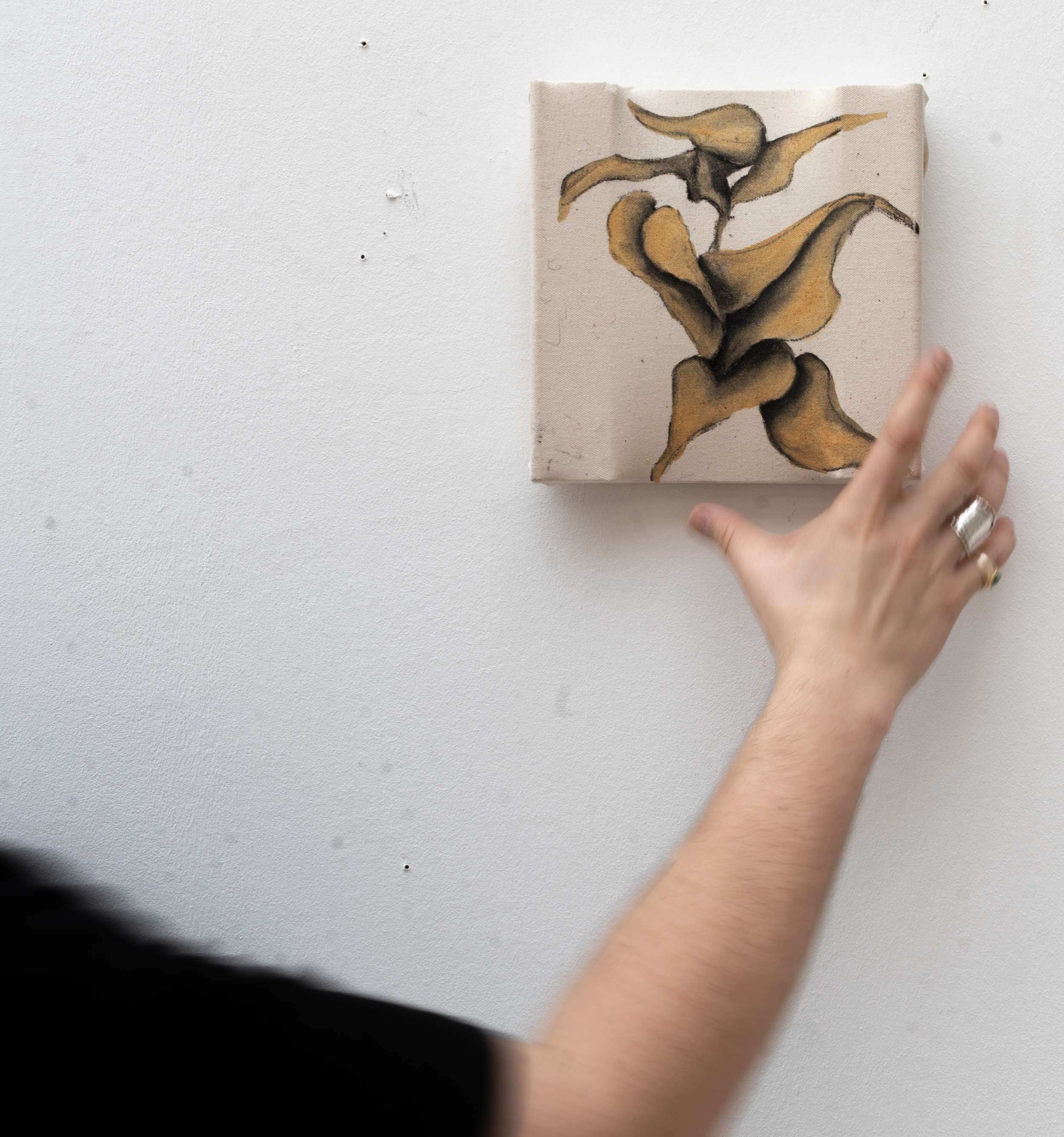 Dancing flower - Jonattan Bustos 3