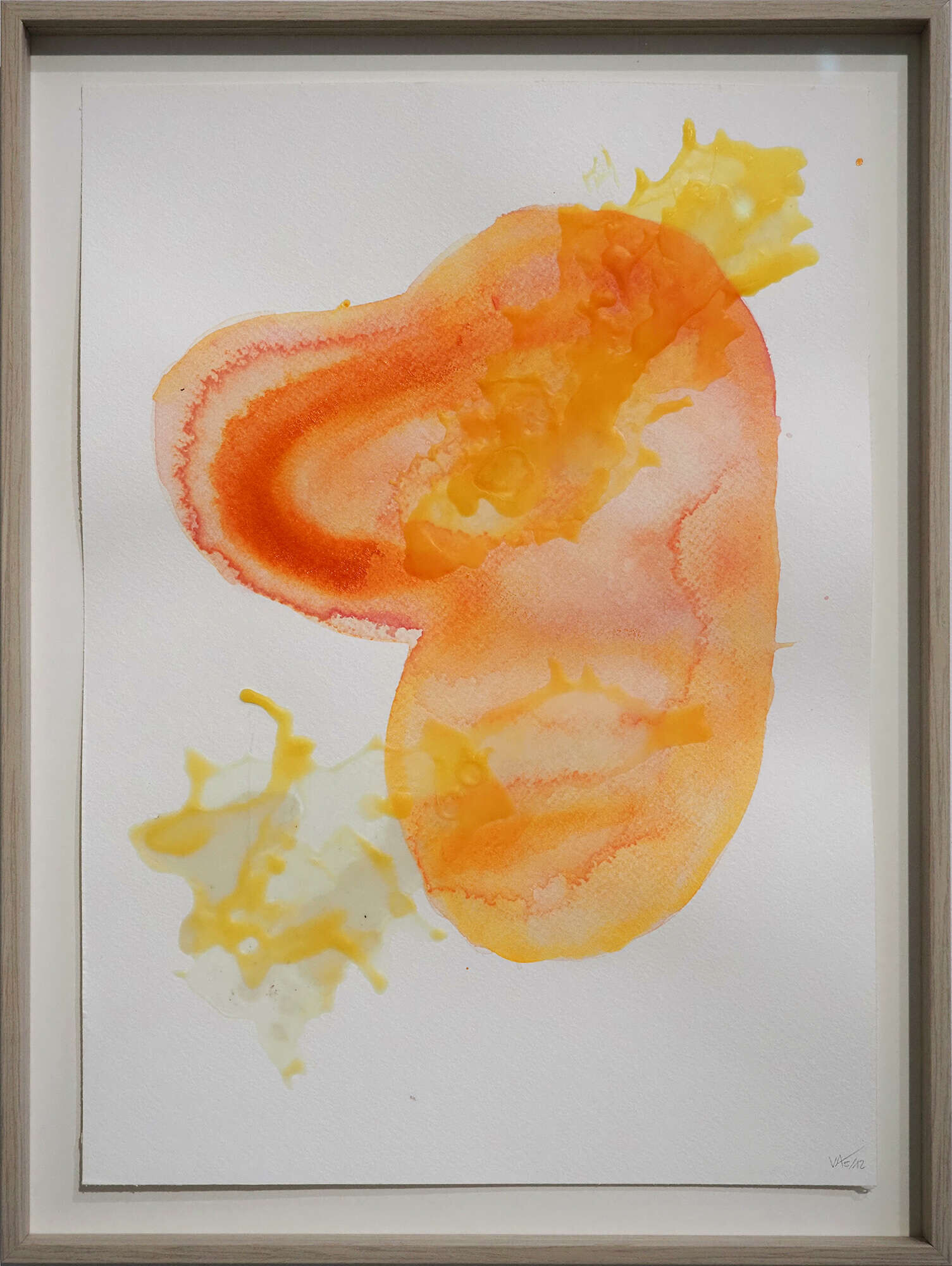 Microverse 5/12 - Vicky Anna Lardschneider 1