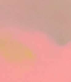 Dreams_rosa - Vincent  Hüdepohl 3