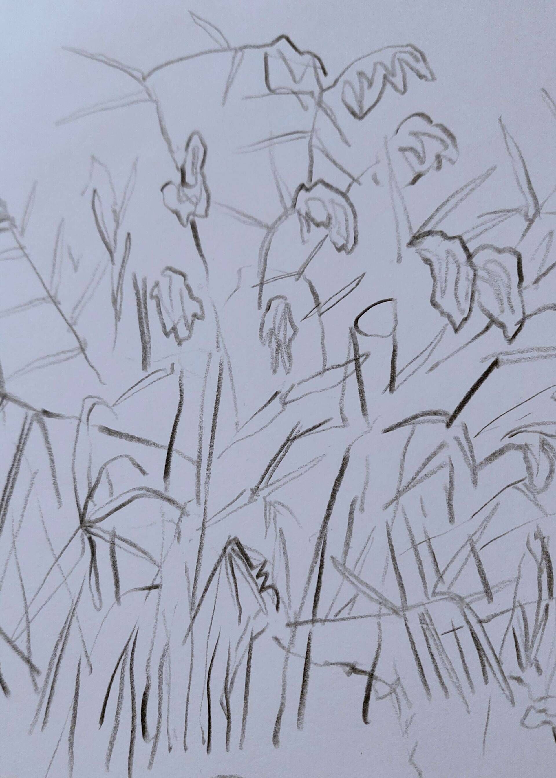 Blick auf La Rocca - Alexander Straub 2