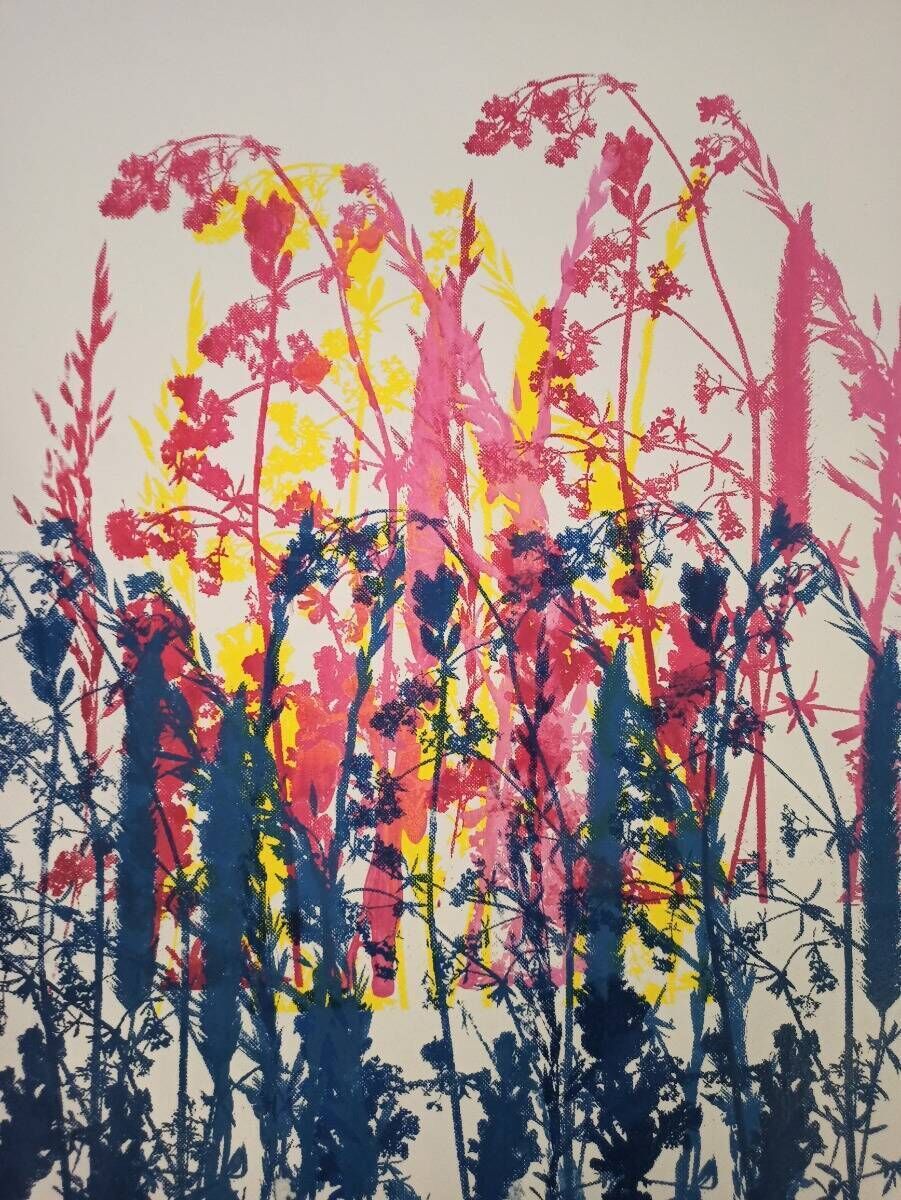 Bunte Wiese