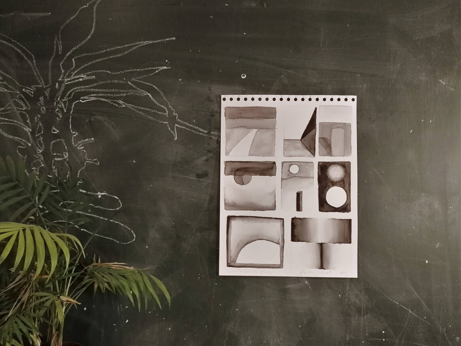 Black & White Study