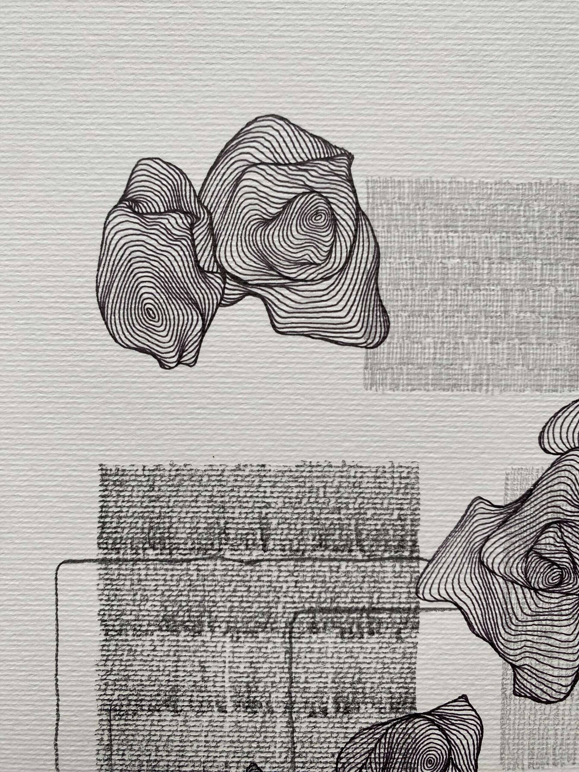 dilation V - Paula-Maryla Schmoll 2