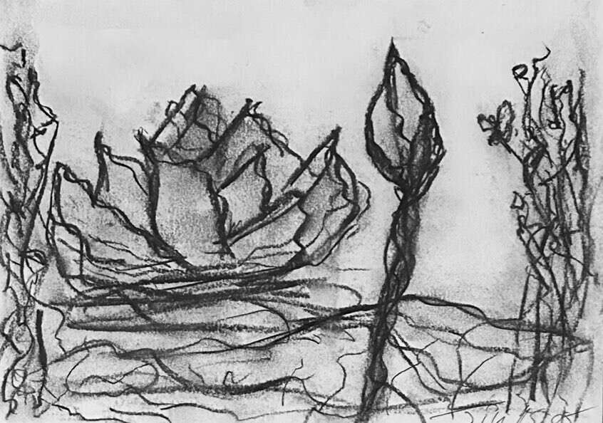 Waterlilies Dream 2 - Martina  Schepperle  5