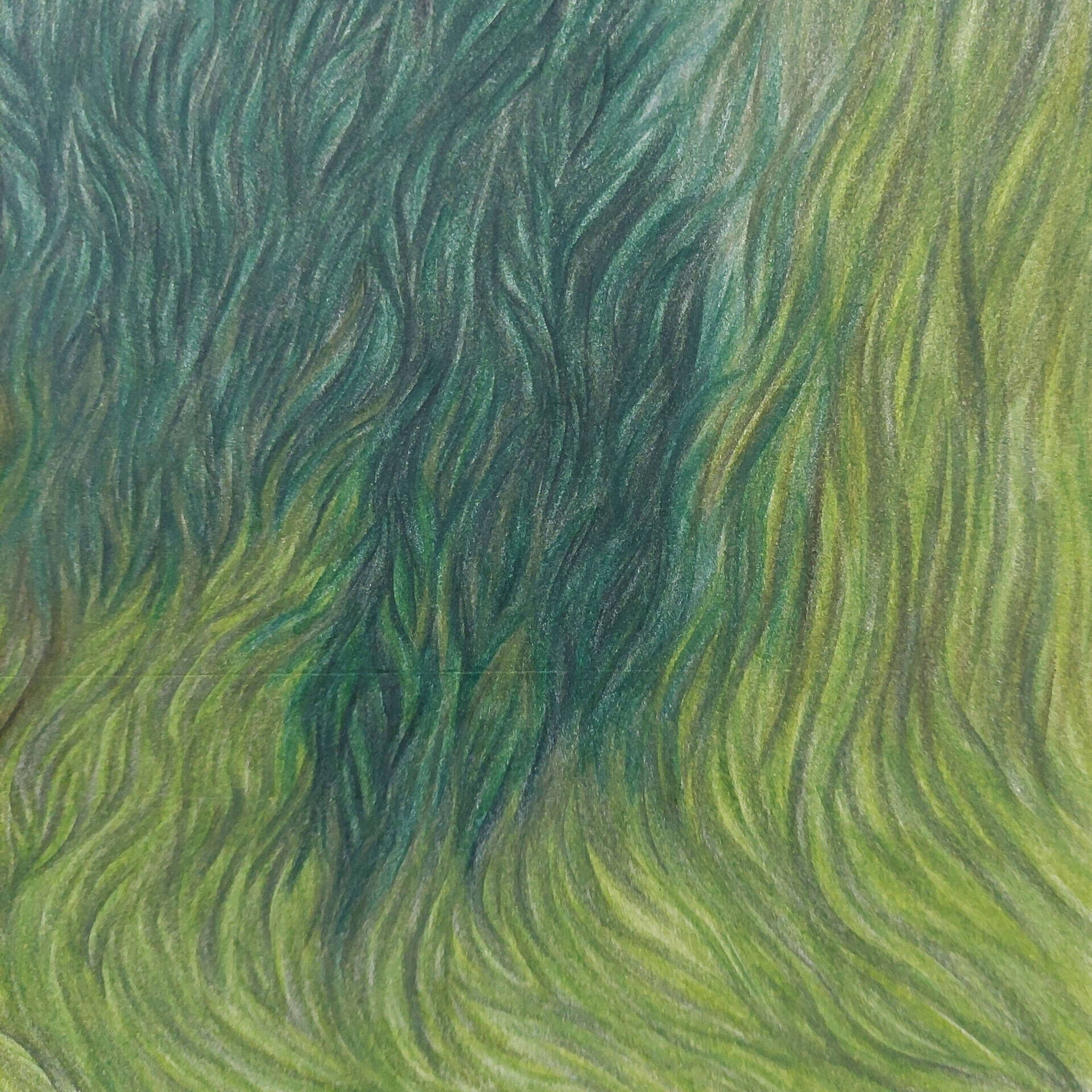 Winde 2 - Yulia Katan 4