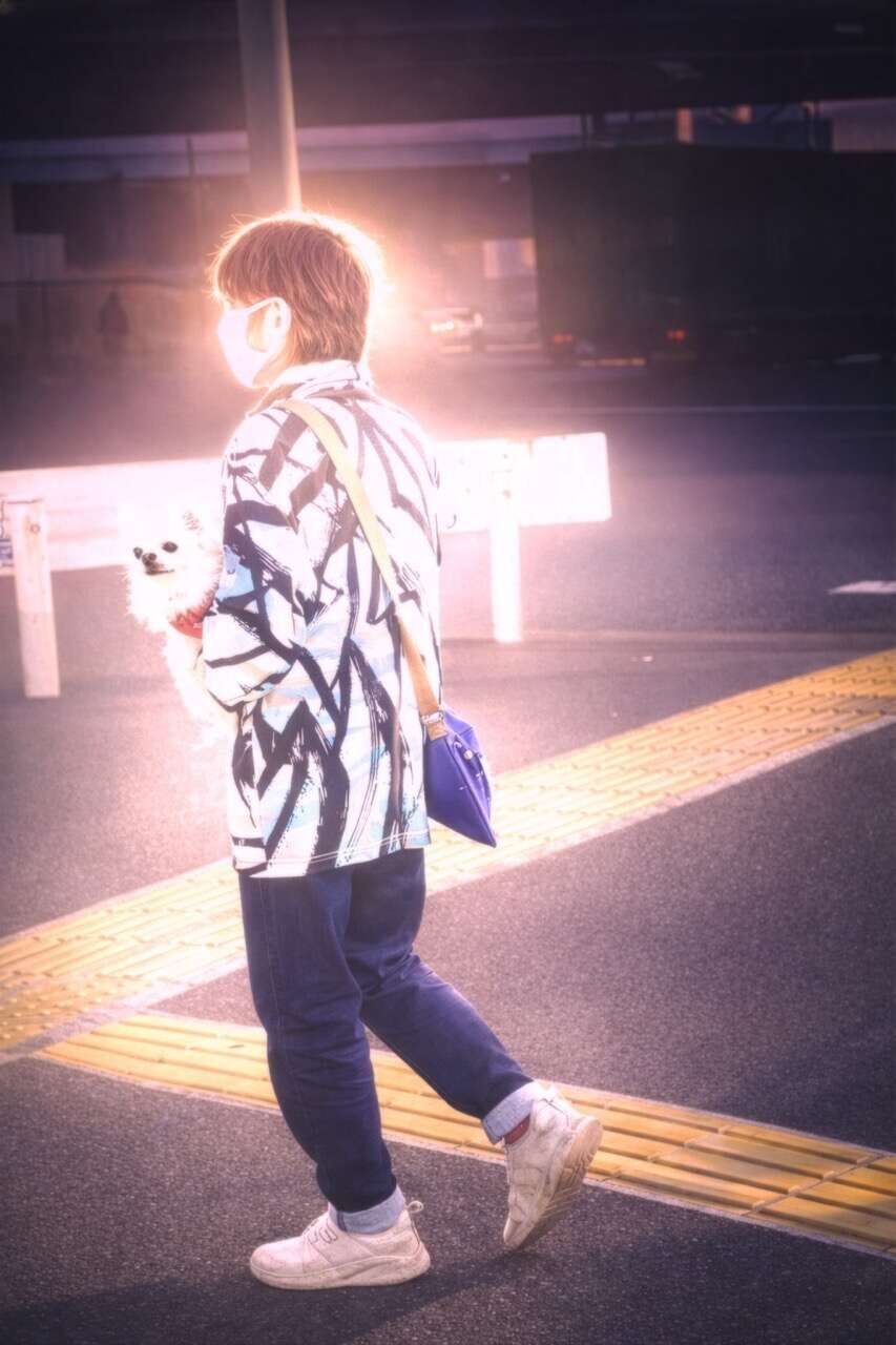 Ariake Chihuahua - Linda Denkert 1