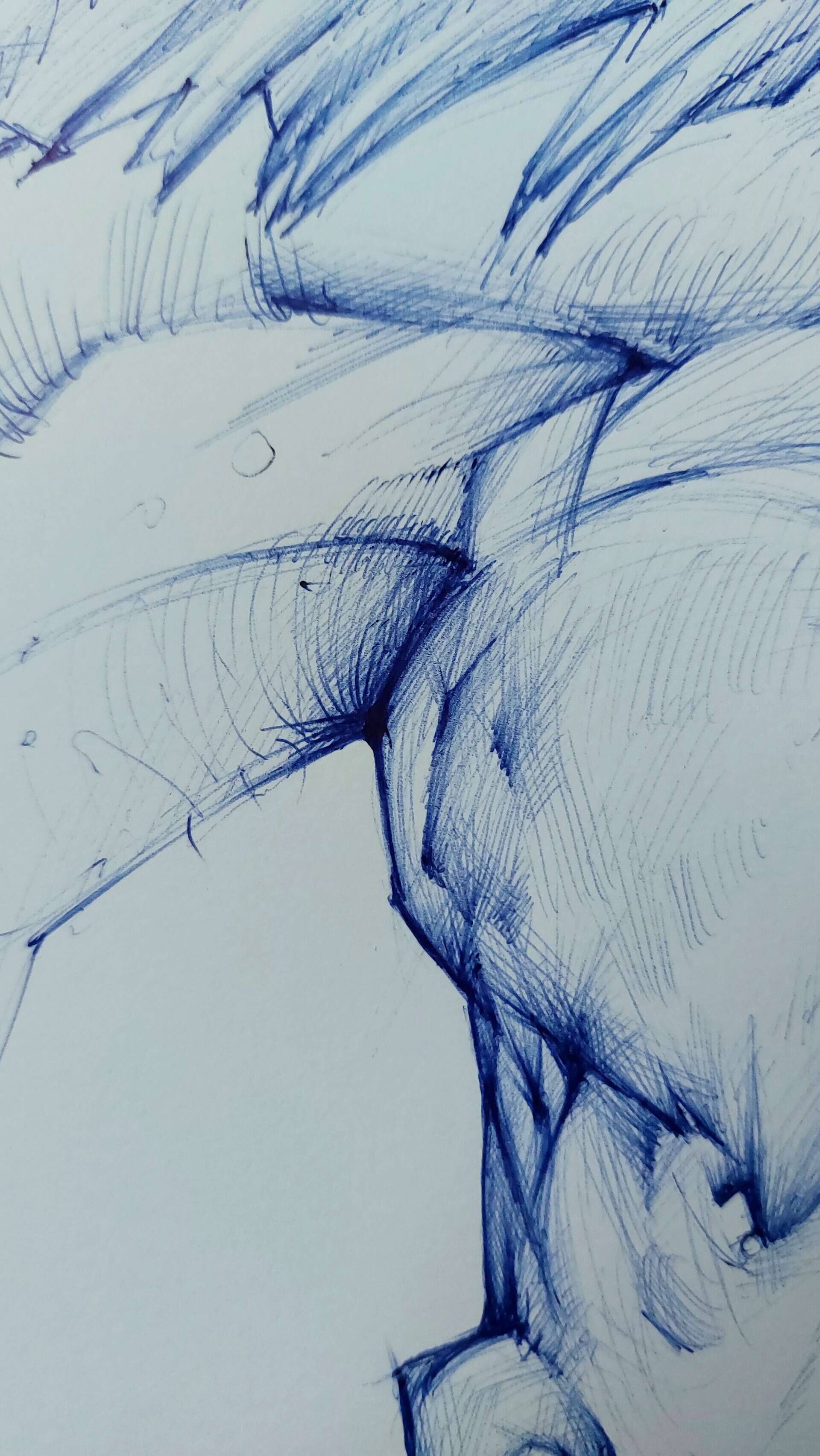 Pferdekopf - Alexander Straub 5