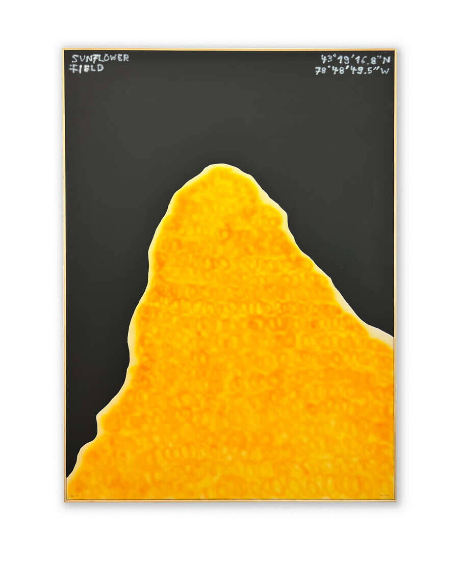 226 I 6 I 1 - Lukas Rosen 1