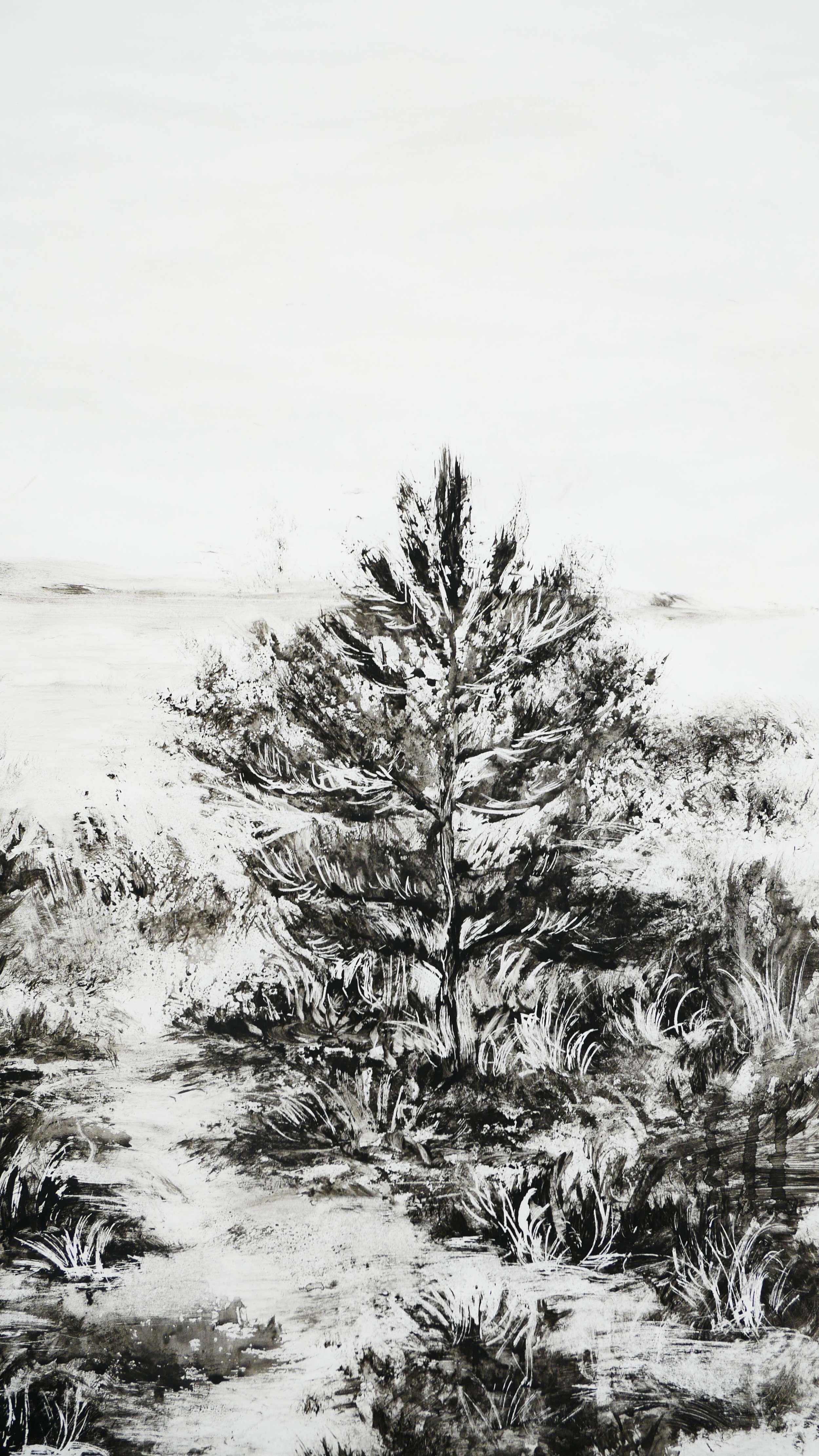 Kiefern - Theresa Haupt 2