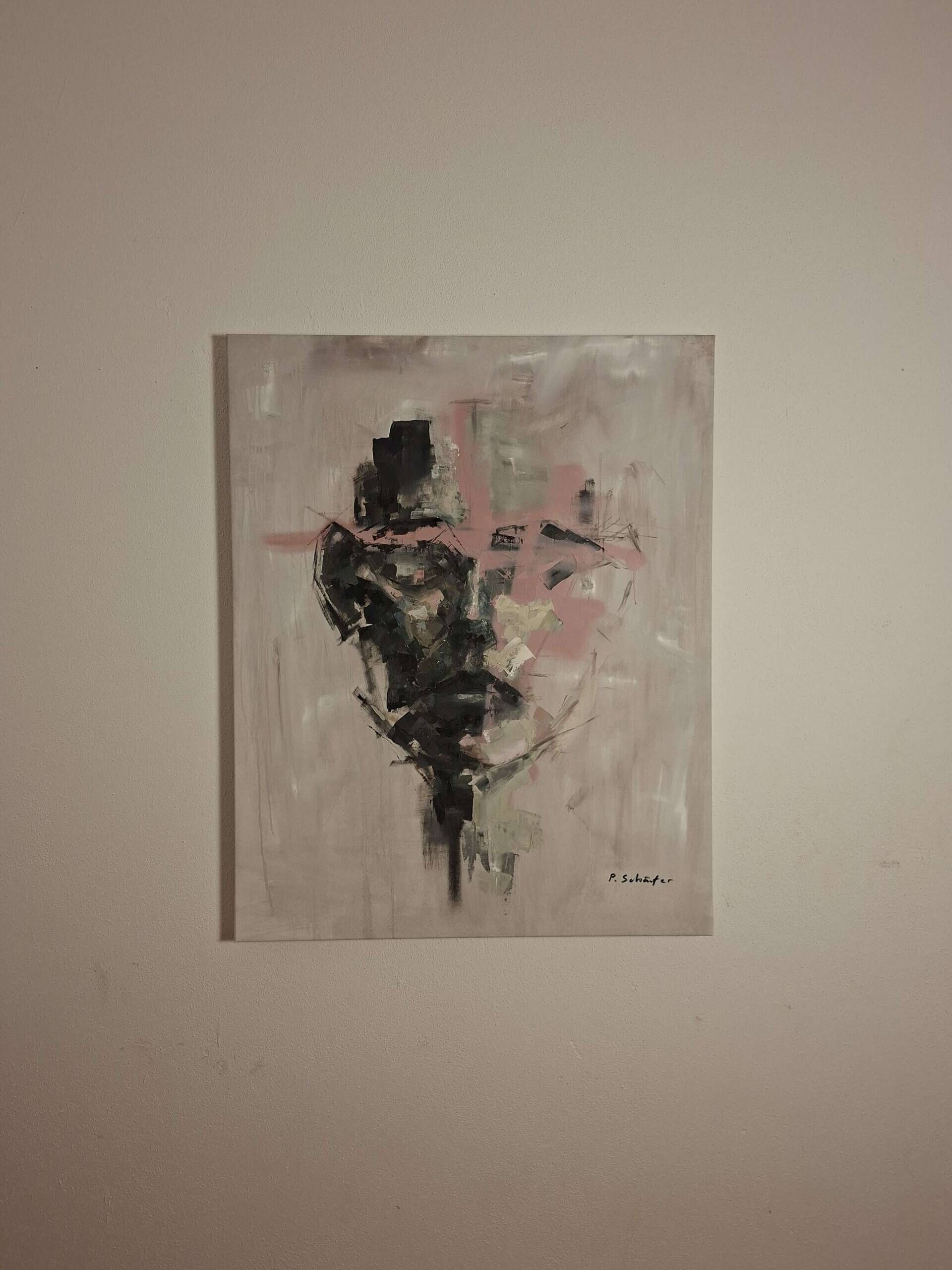 X301 - Paul Schäfer 6