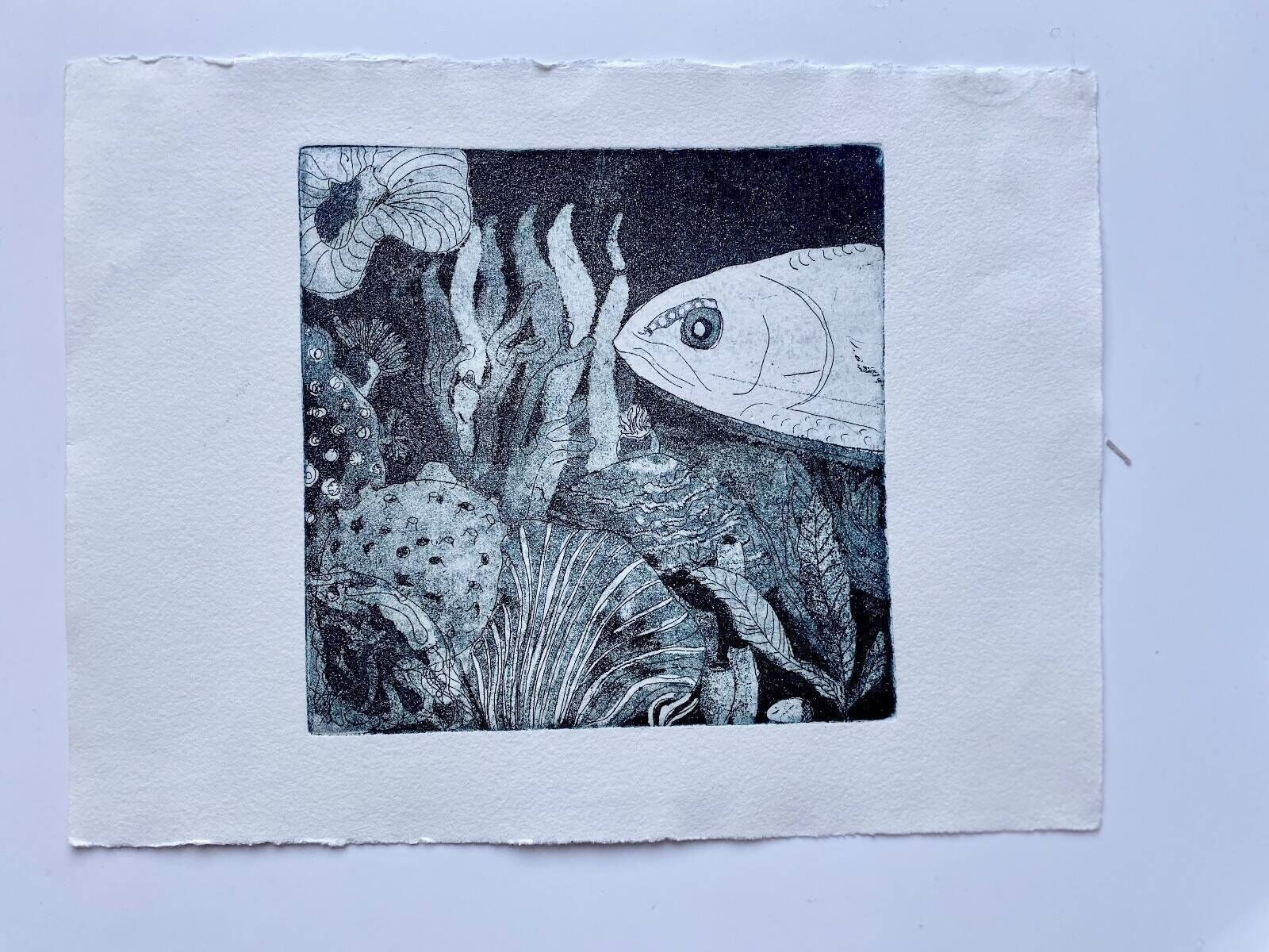 Under the Sea 