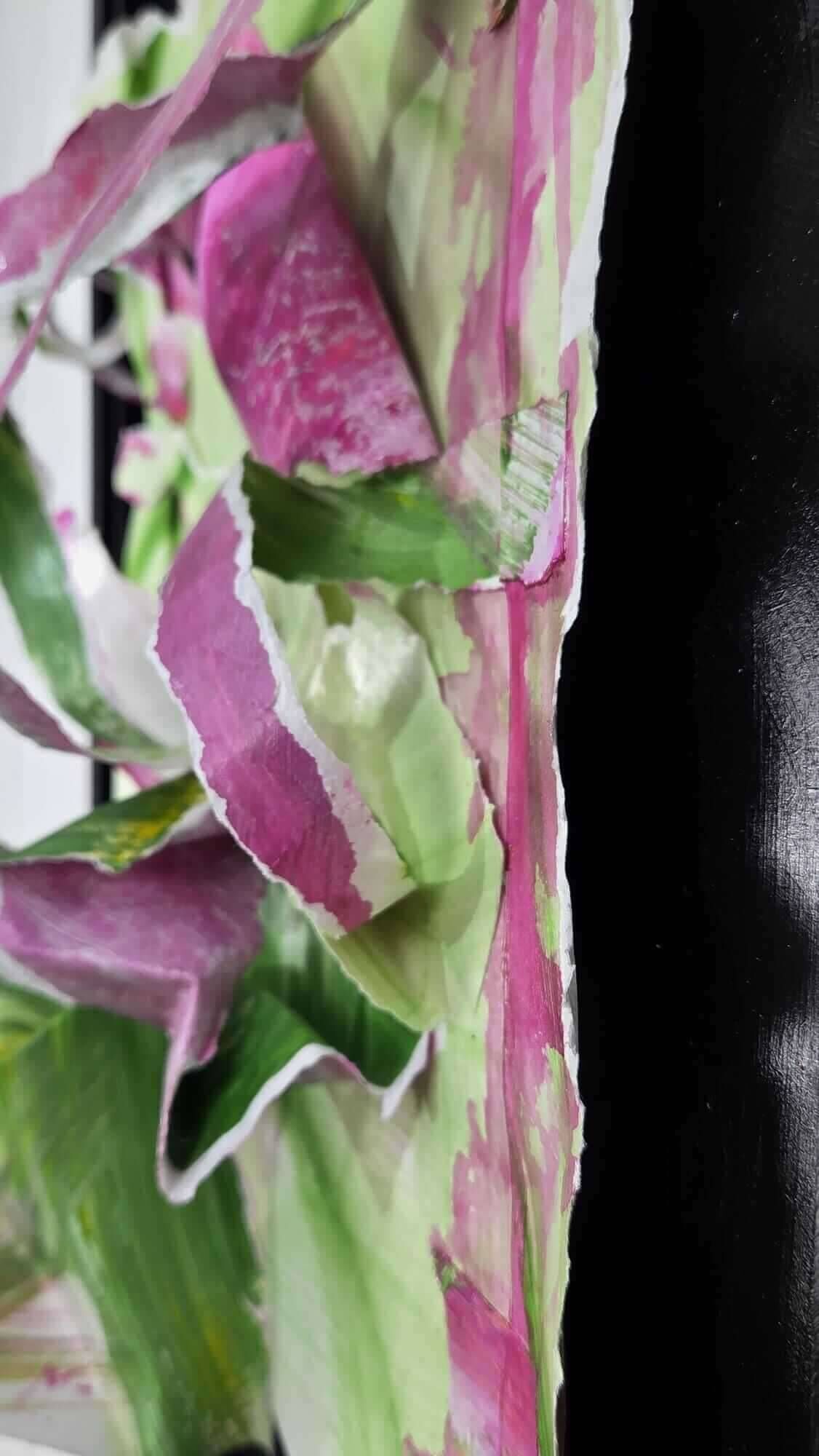 Opera 1-1025B - Vesna  Faiazza  10