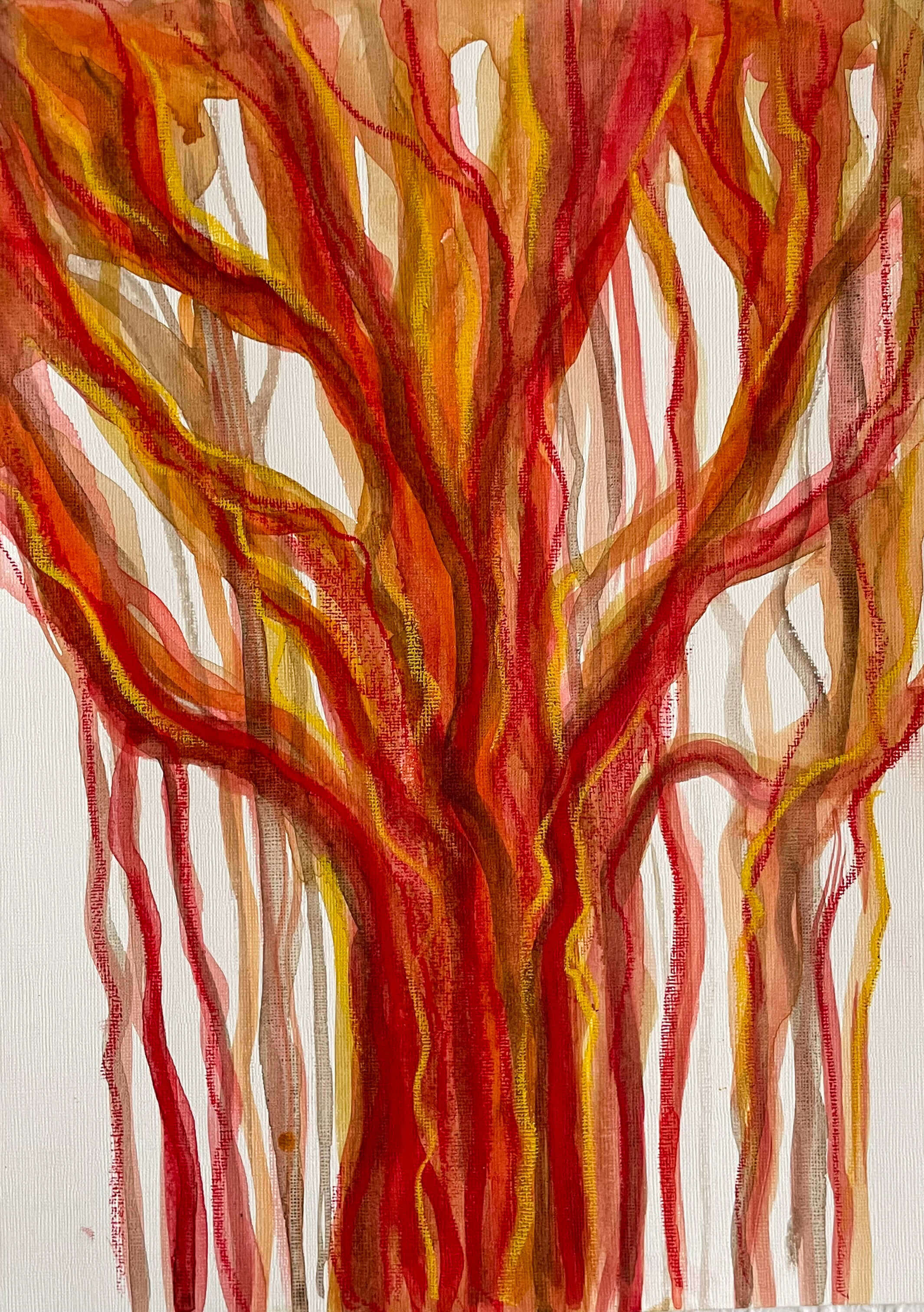 Banyan Tree 3 - Teuta Pashnjari 1