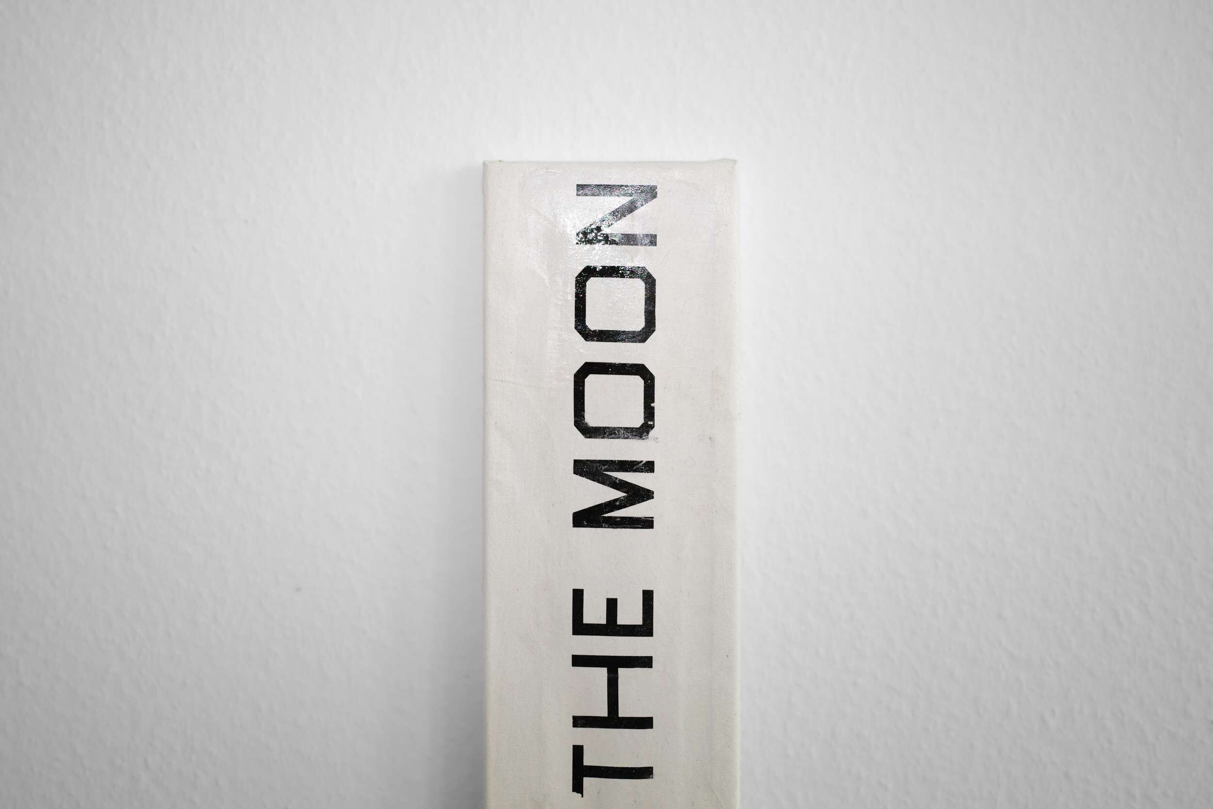 Shoot me to the Moon - Lenny Renz 2