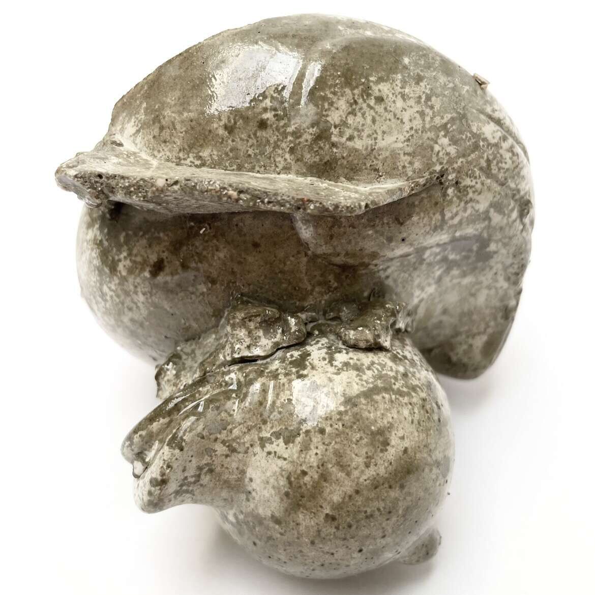 Finding Gloss in the Dryness They Know (2026) - Terryfied Club 5