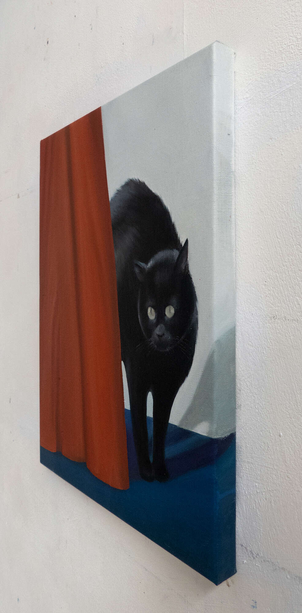 Gato erizado - Jo Failer 2