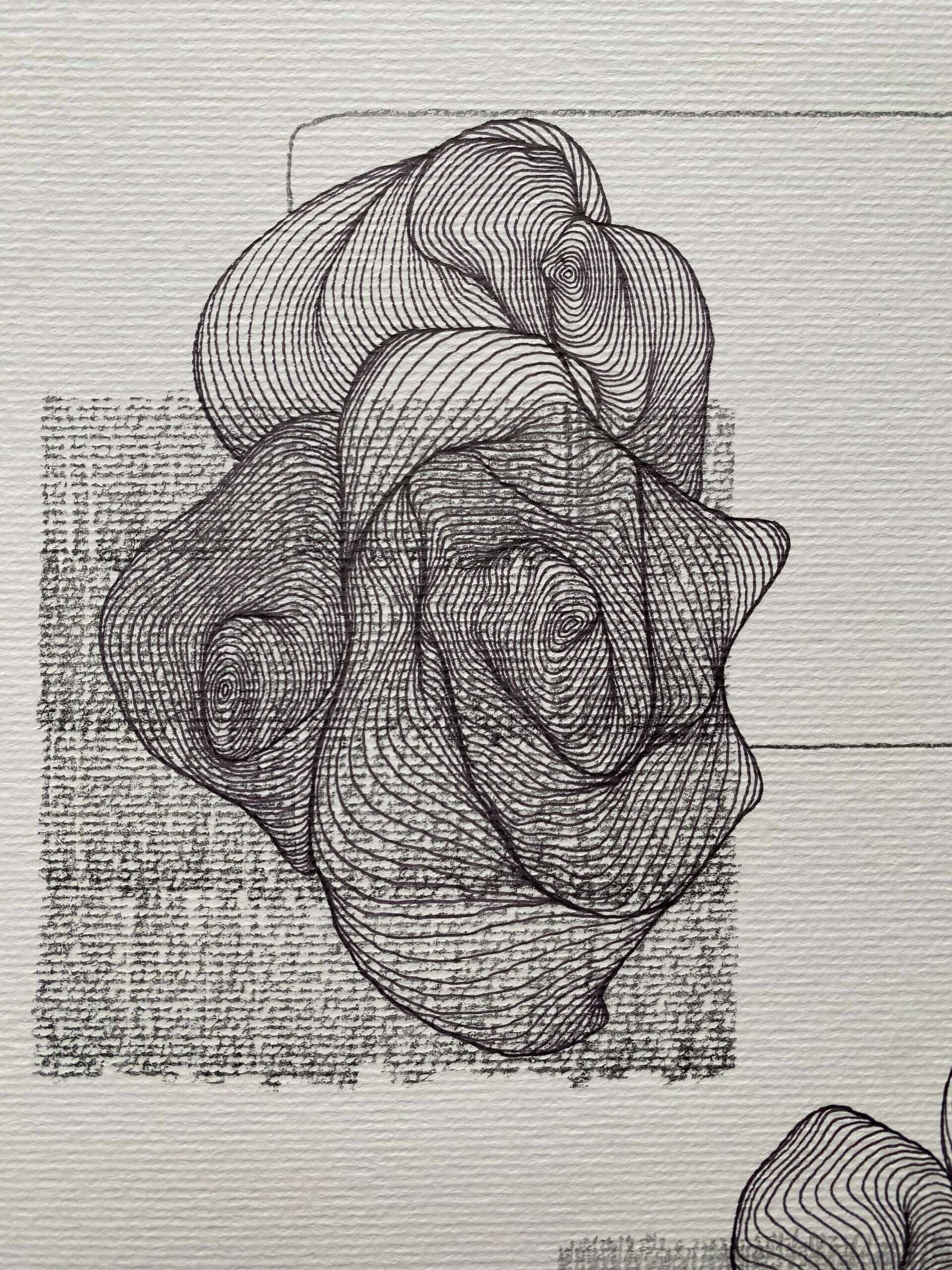 dilation II - Paula-Maryla Schmoll 3