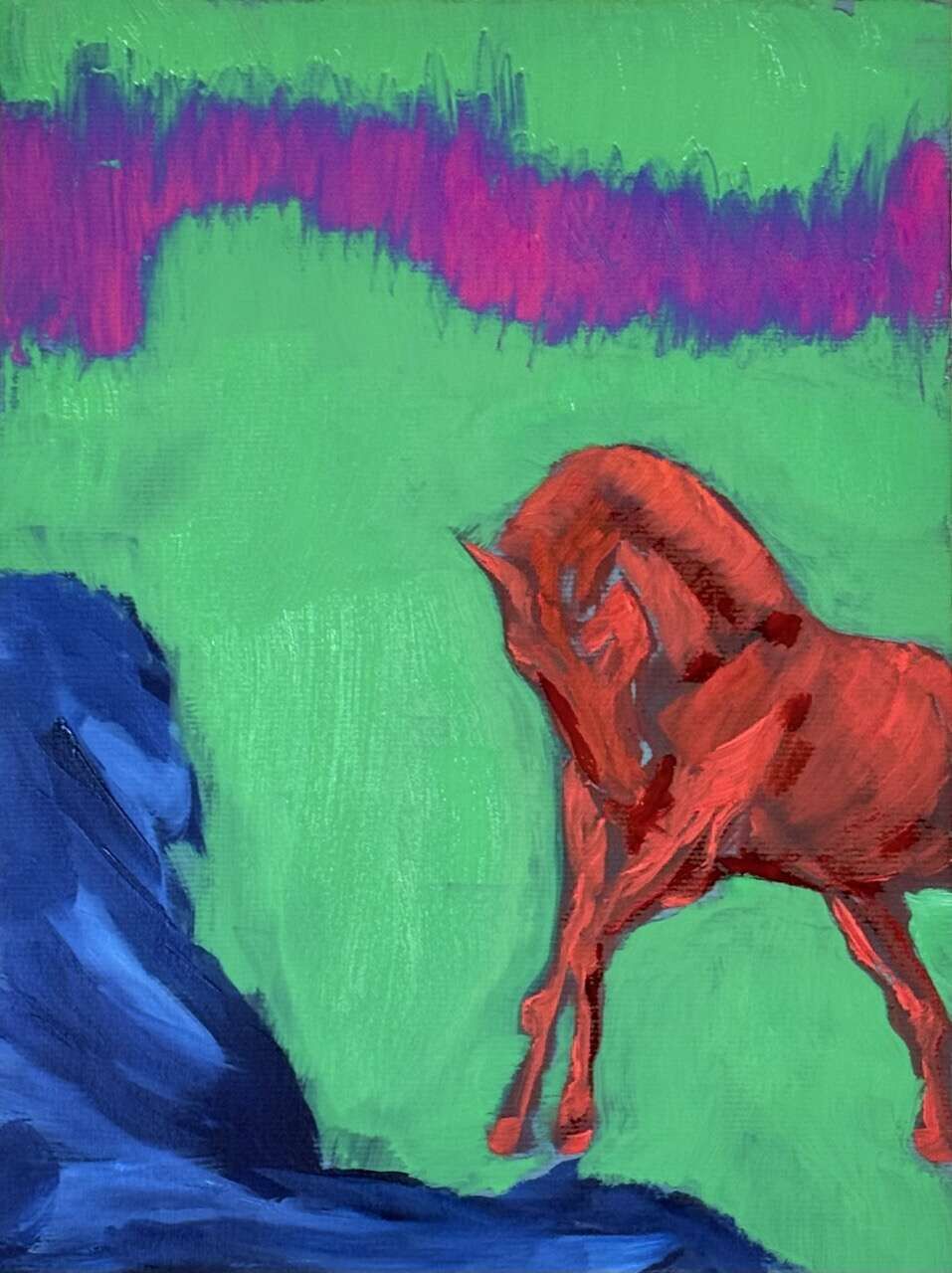 Bucanero - Juliana Gutiérrez Wiest 1