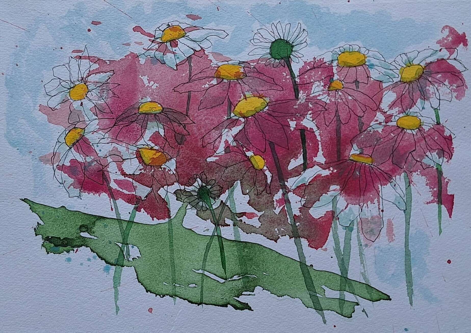 Pink Daisies - Sara Wimmers 1