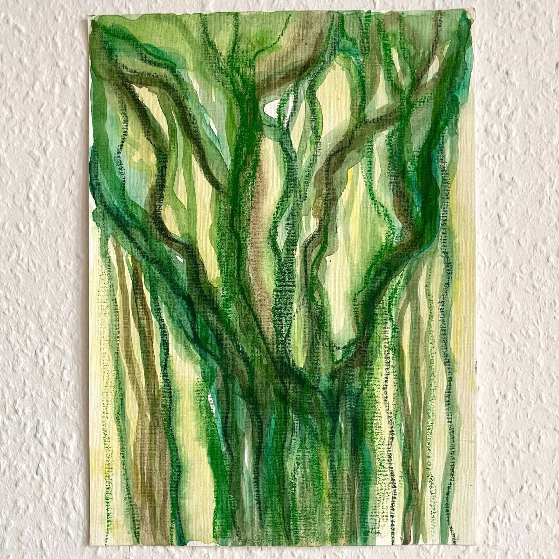 Banyan Tree 1 - Teuta Pashnjari 2