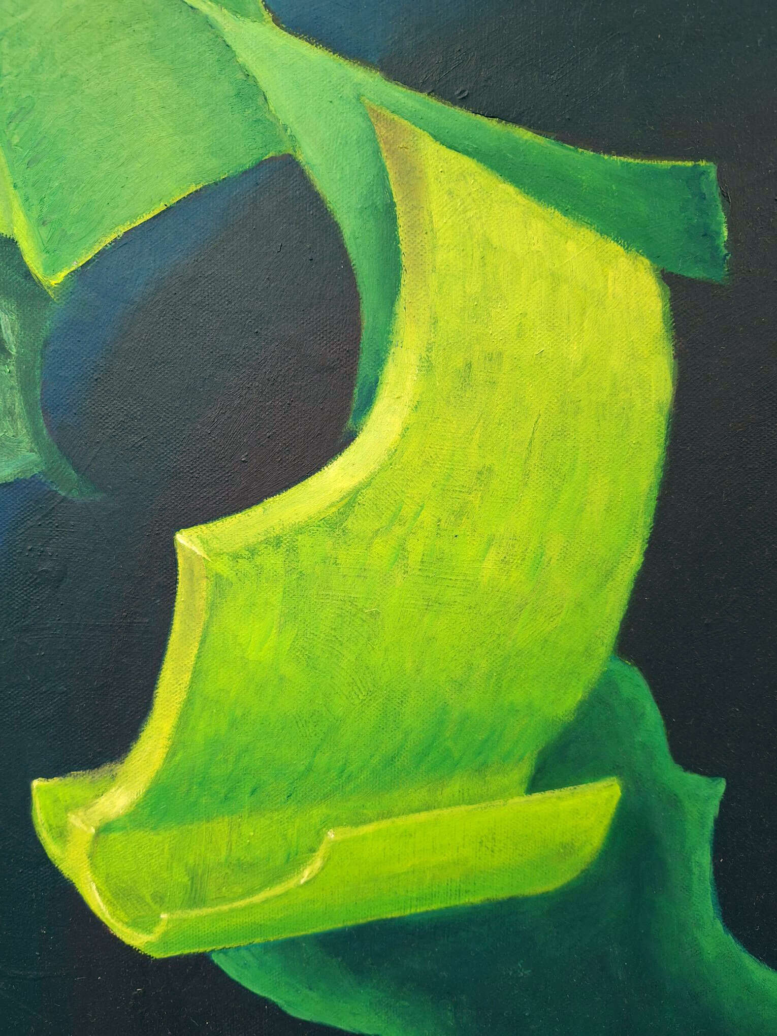 Booshman - Janek  Wisse 2