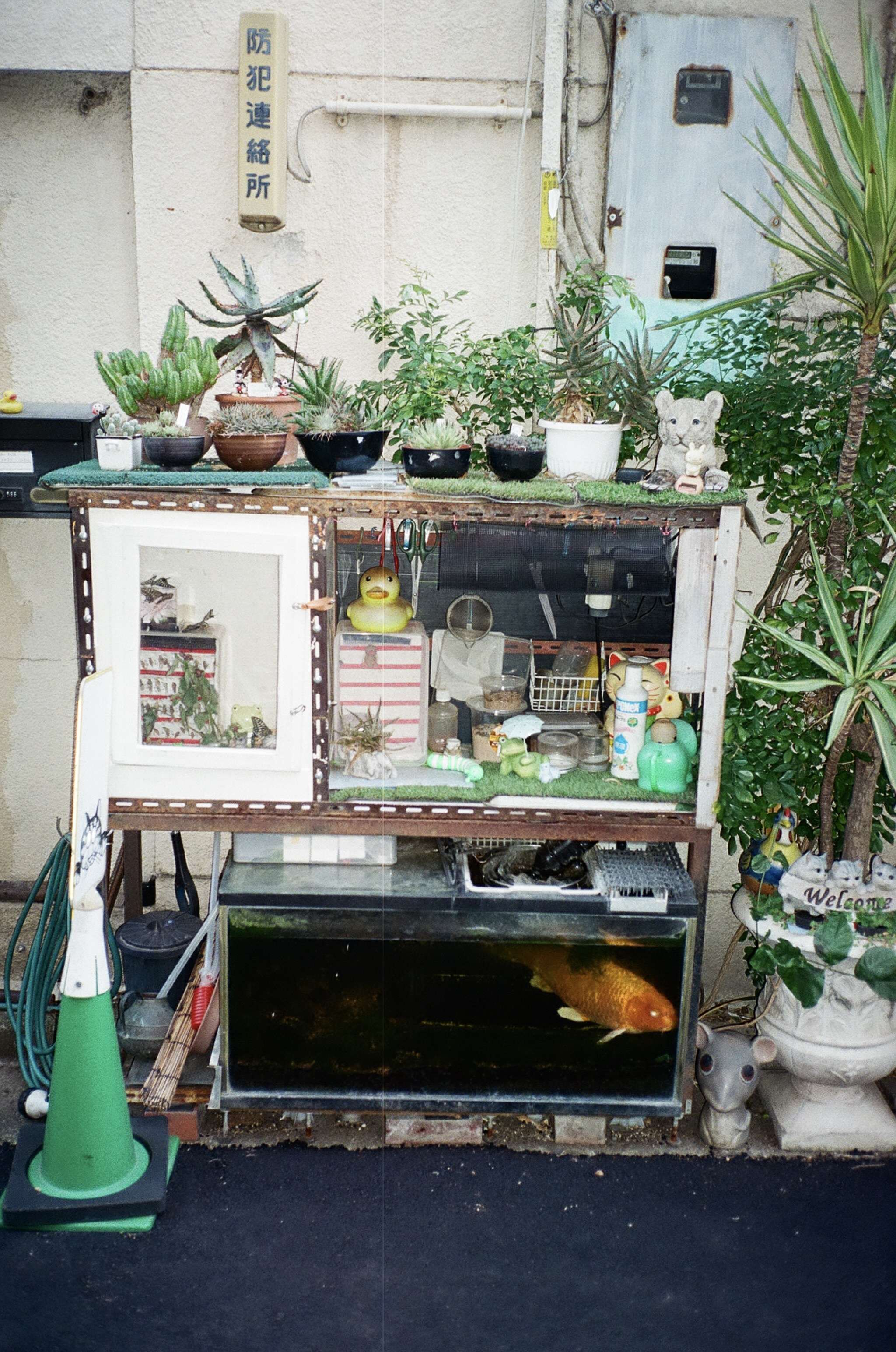 Tokyo Backyard - Linda Denkert 1