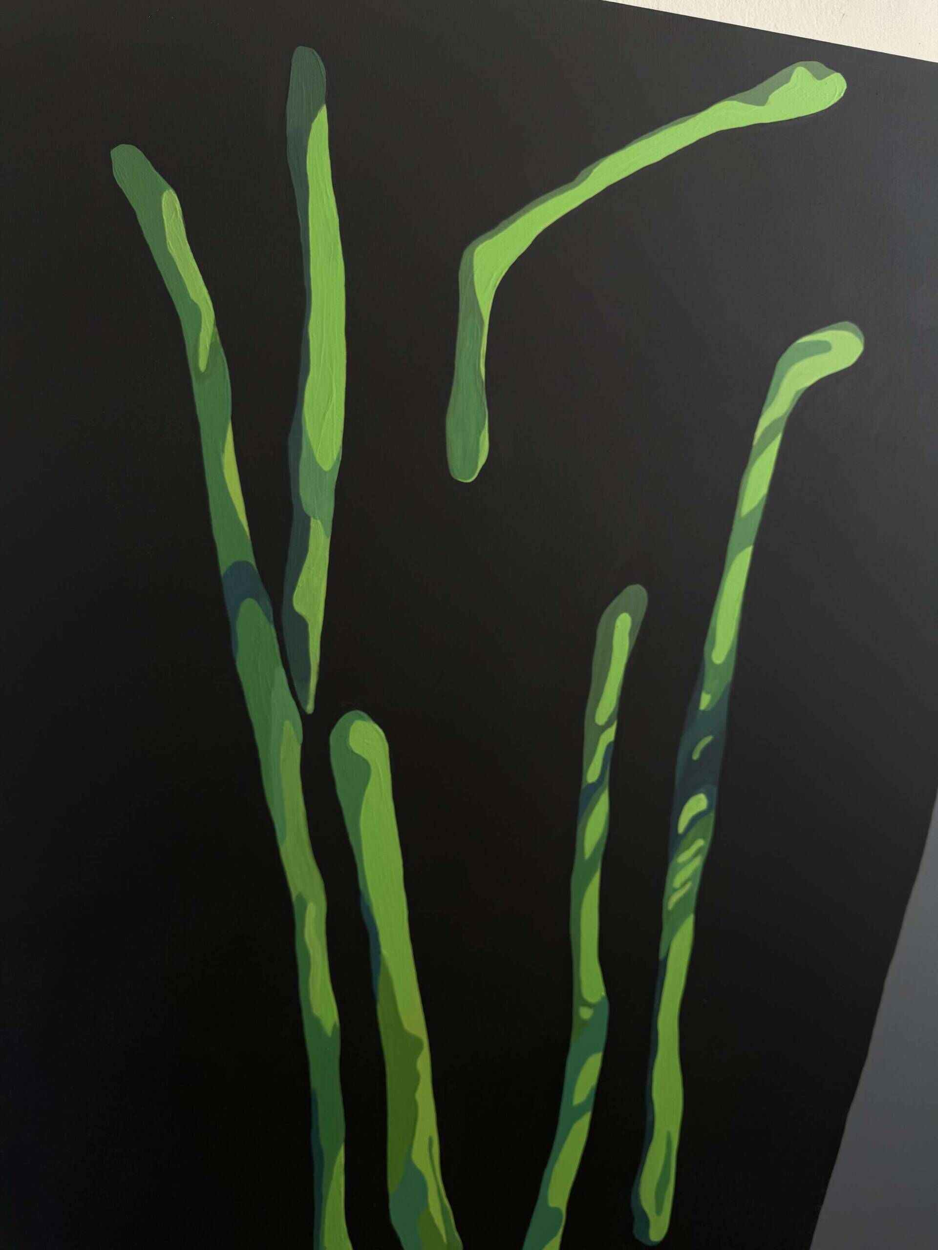 Abgelöste Rhizome - Cong Cong 8