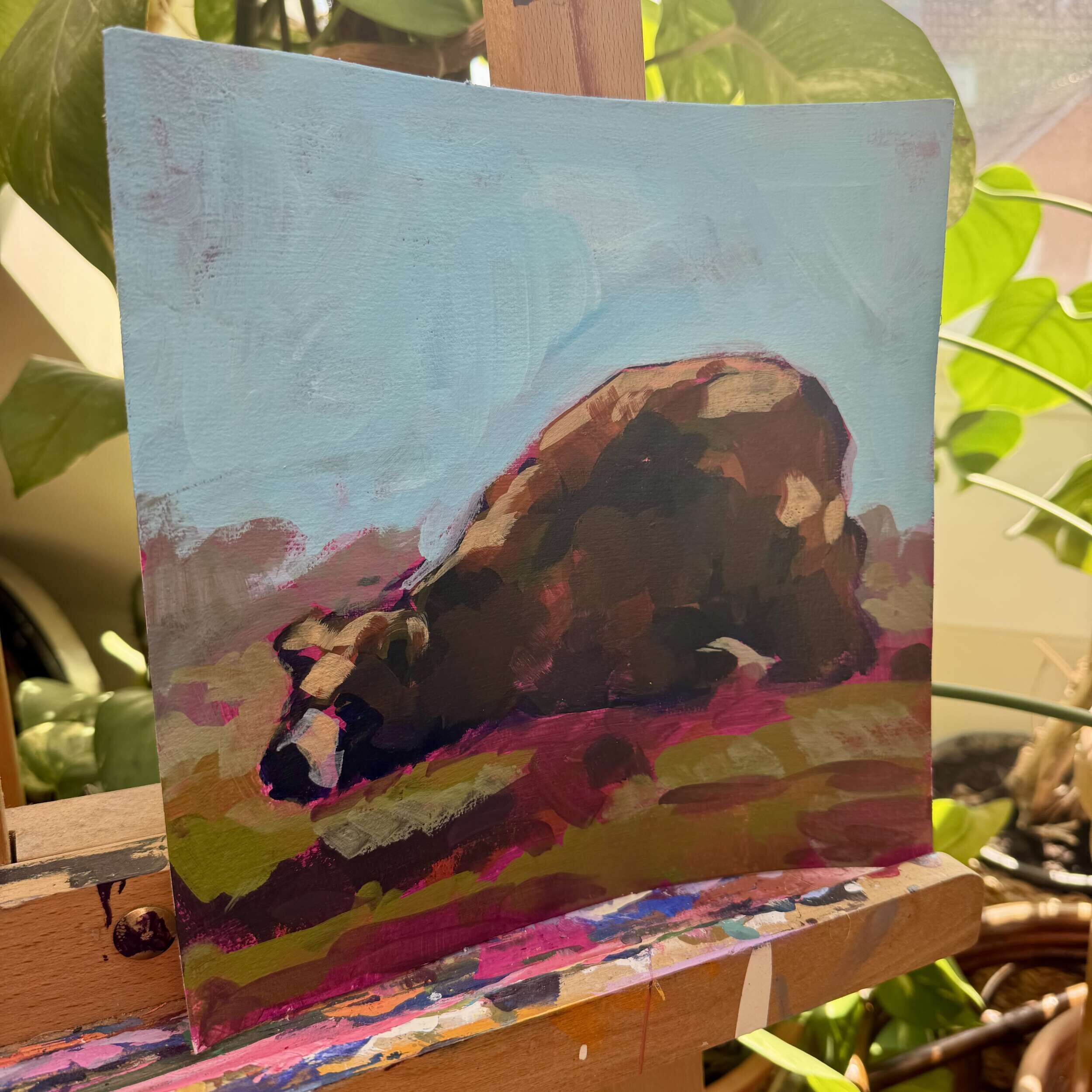 Bär, platt - Daniel Heimgärtner 2