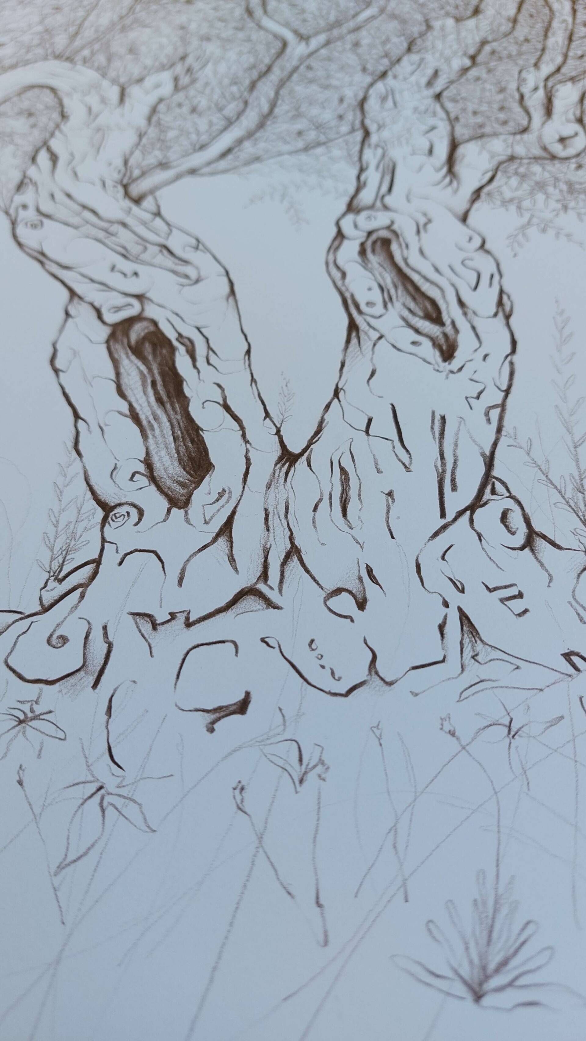 Olivenbaum 4 - Alexander Straub 5