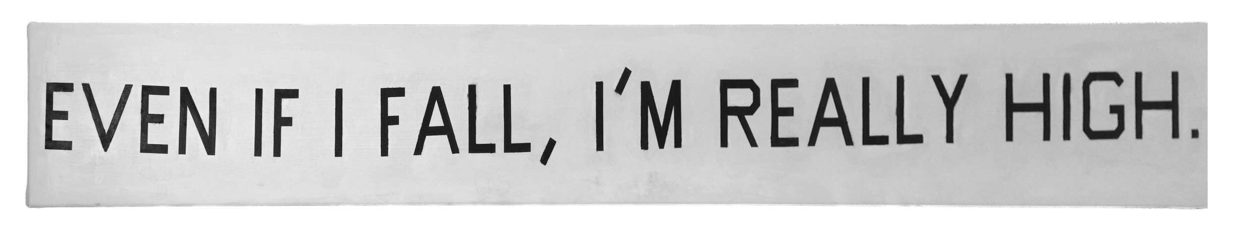 Even if I fall, I'm really high  - Lenny Renz 1