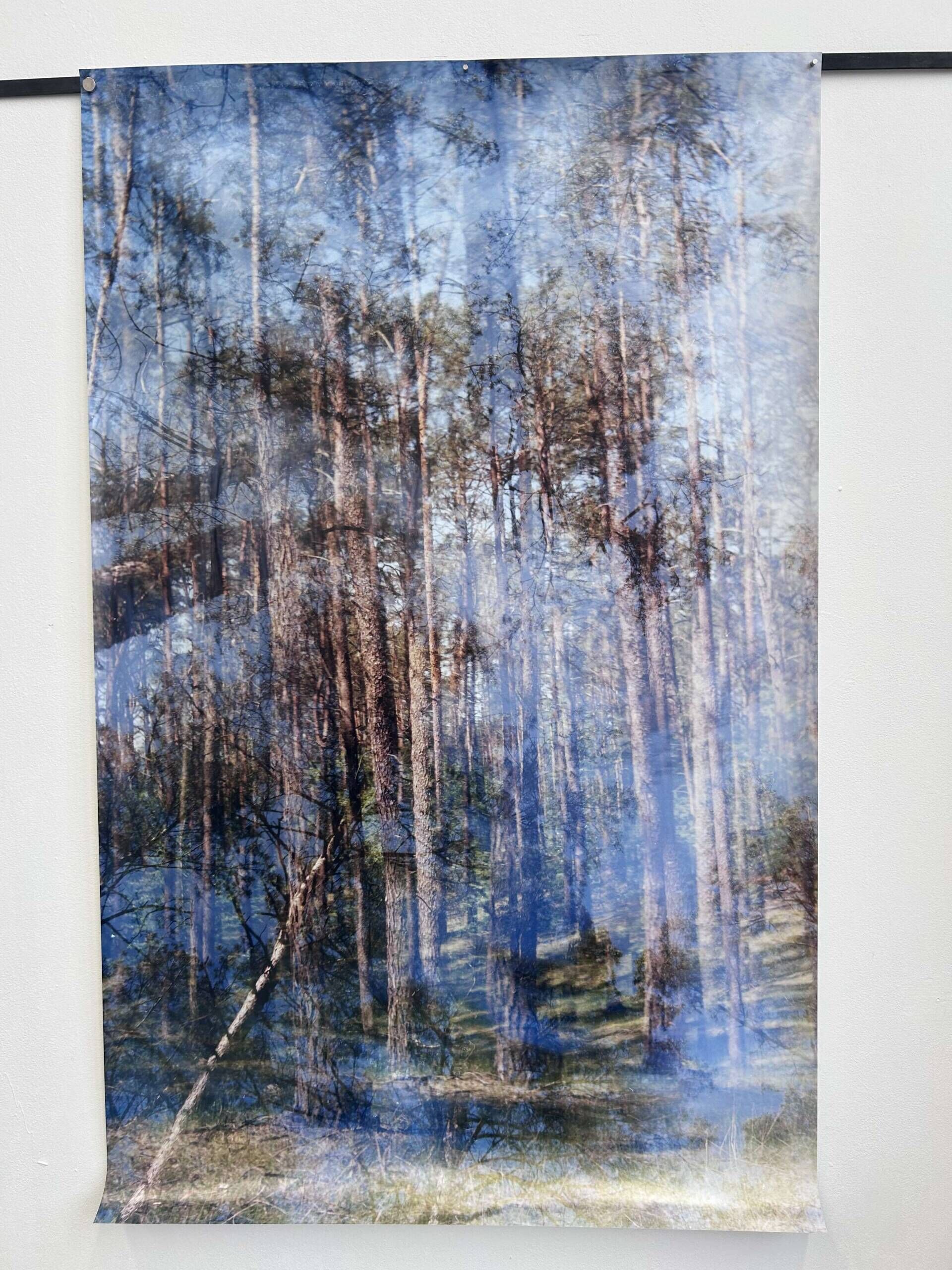 Wunderwald 2.0 - Luise Oswald 2