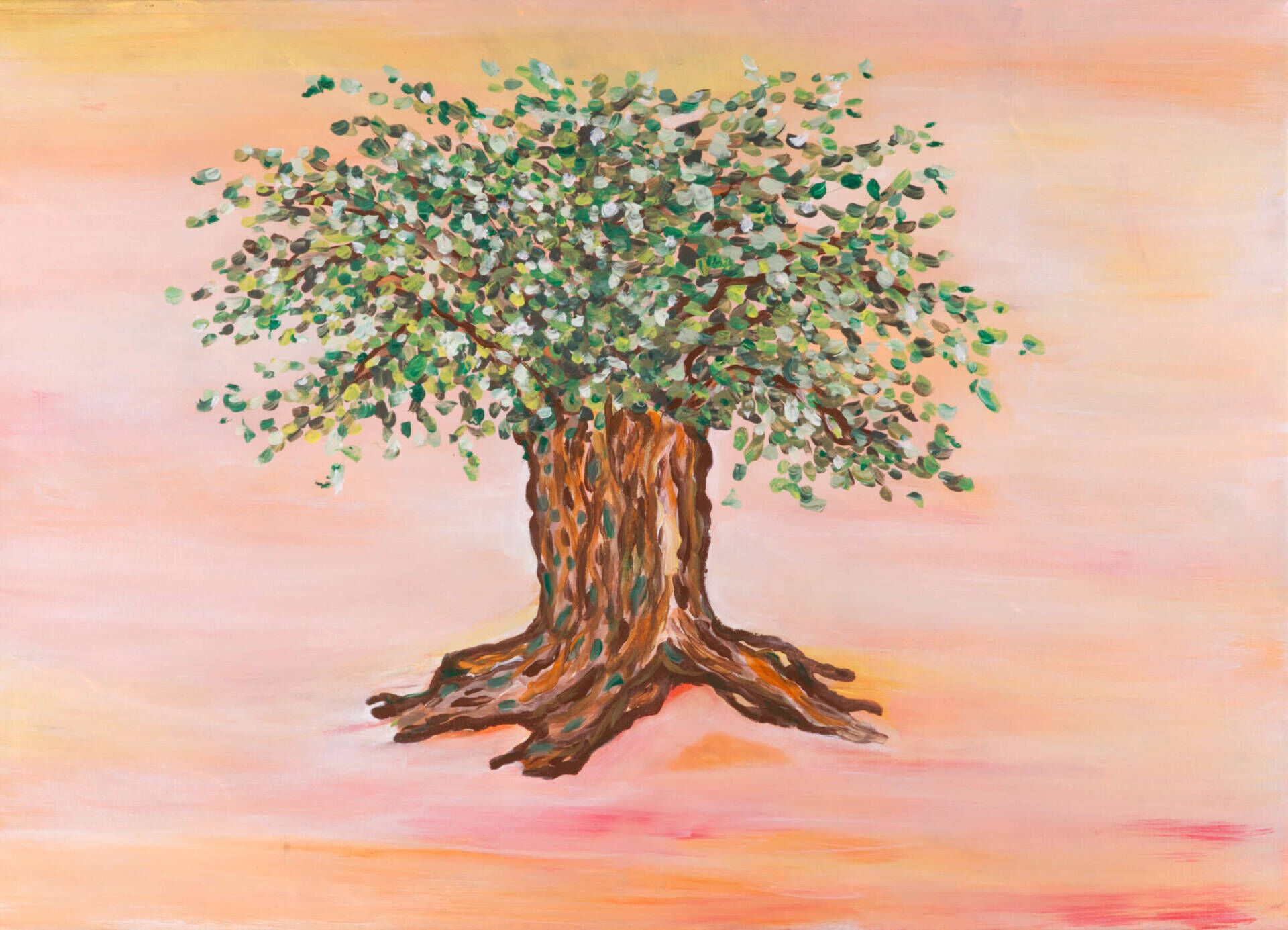 Olive Tree - habiba el kholy 1