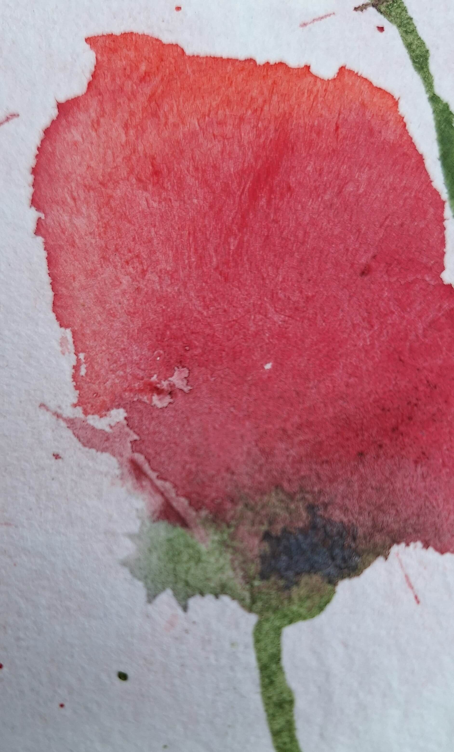 Rote Poesie - Sara Wimmers 1